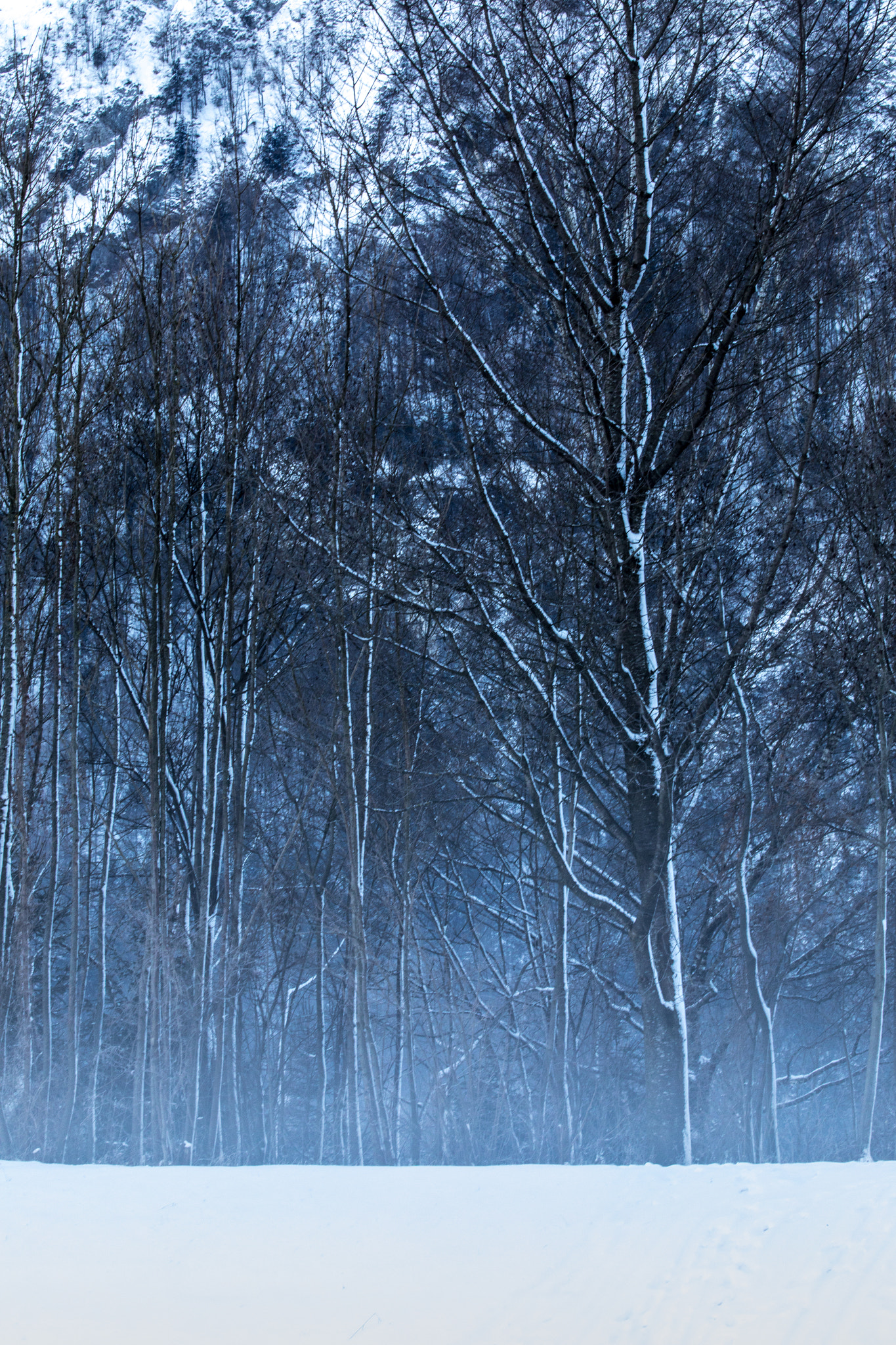 Canon EF 70-200mm F2.8L IS II USM sample photo. Cold morning viii photography