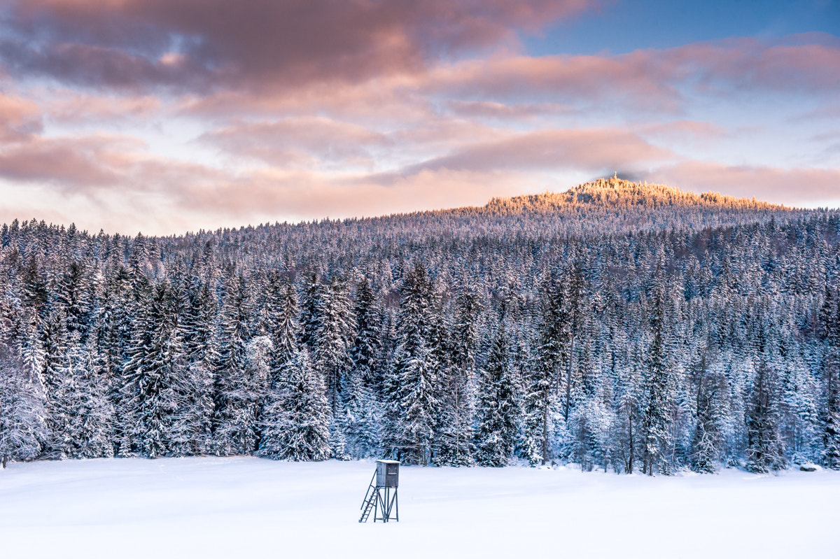 Nikon Df sample photo. Frozen sunrise... photography
