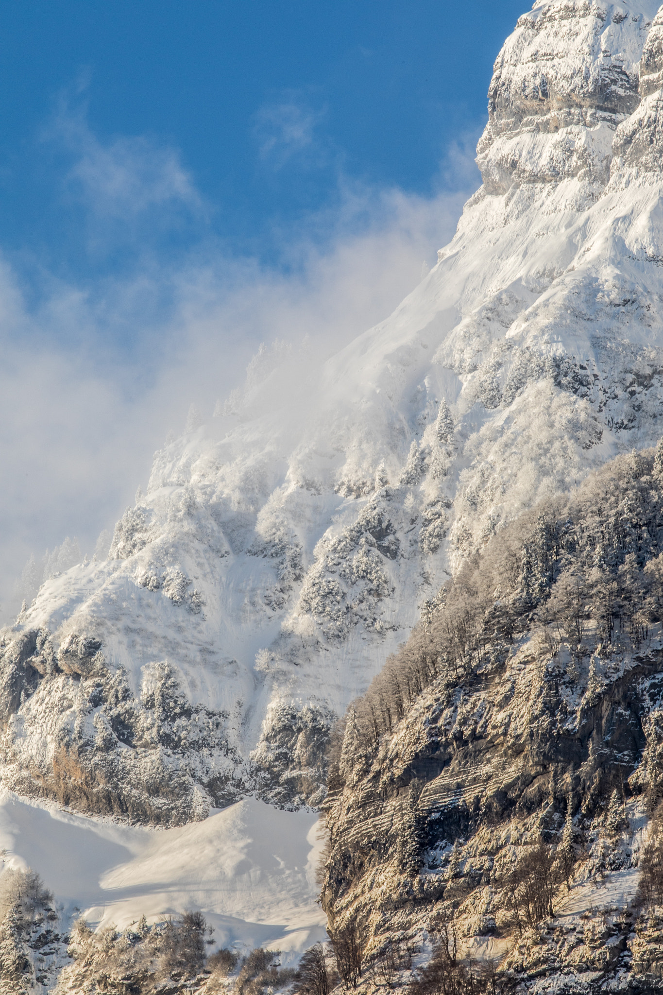 Canon EF 70-200mm F2.8L IS II USM sample photo. Alpine winter ii photography