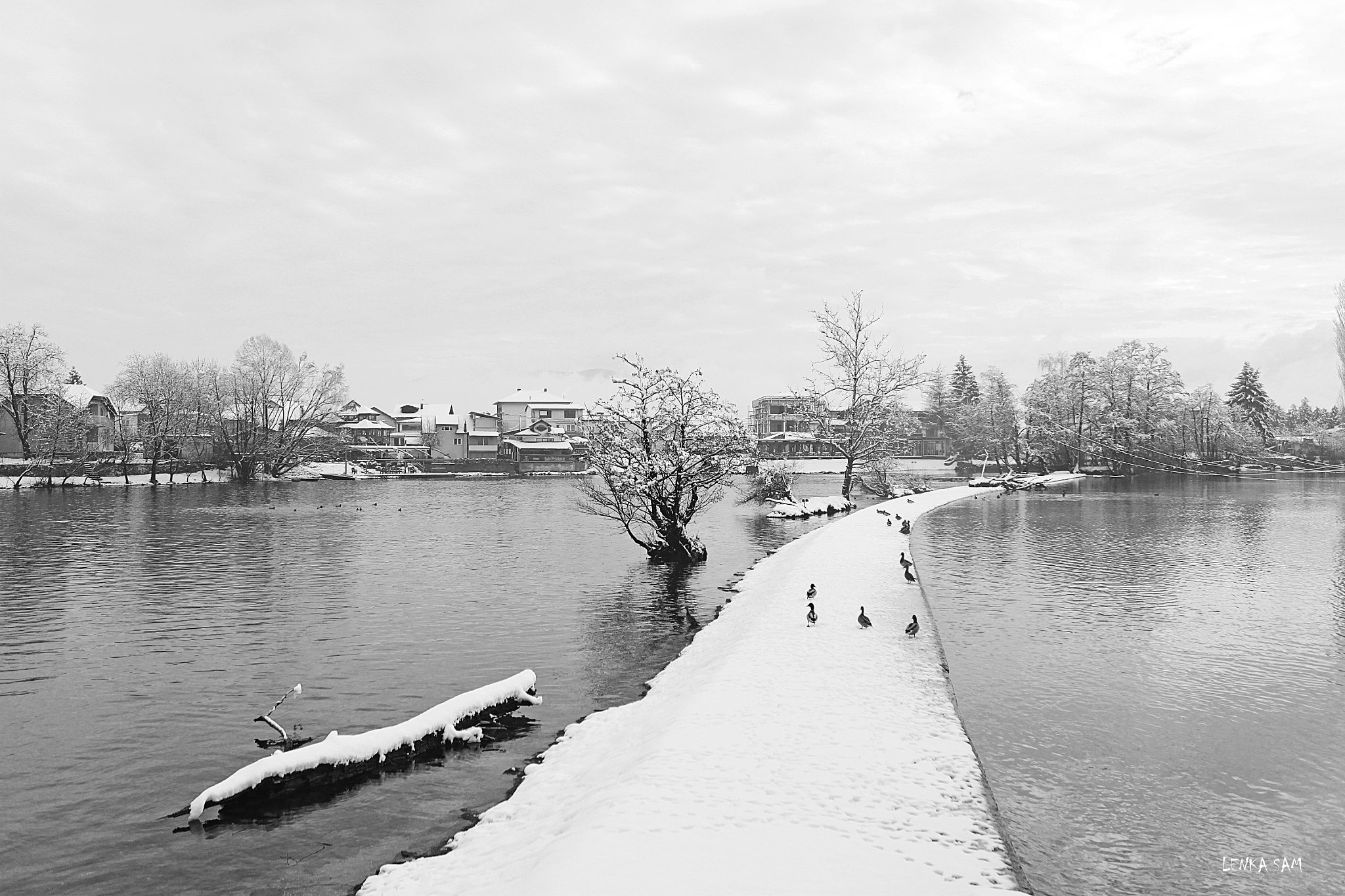 Canon EOS 500D (EOS Rebel T1i / EOS Kiss X3) sample photo. Winter river photography
