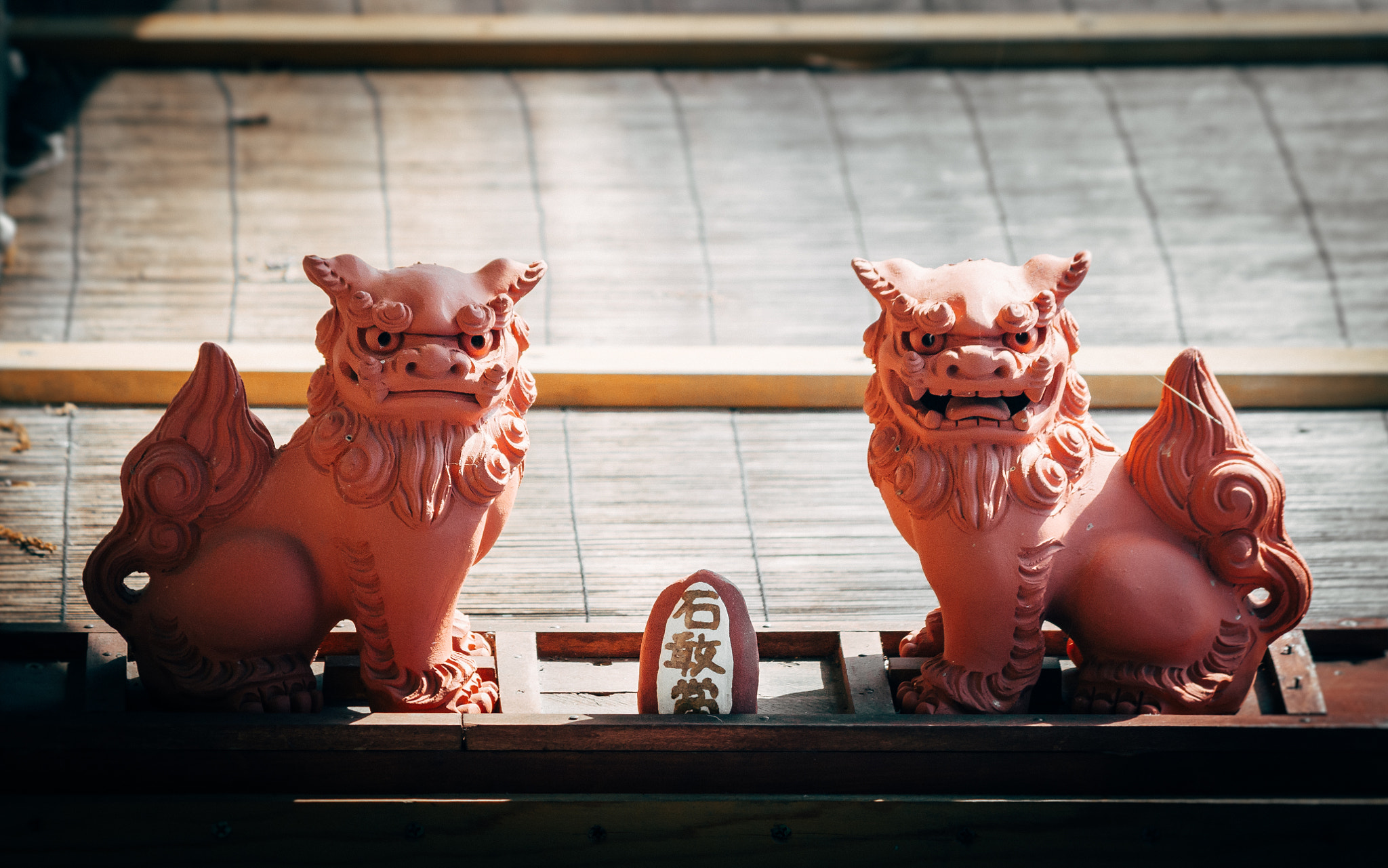 smc PENTAX-DA L 50-200mm F4-5.6 ED sample photo. Aum lions photography