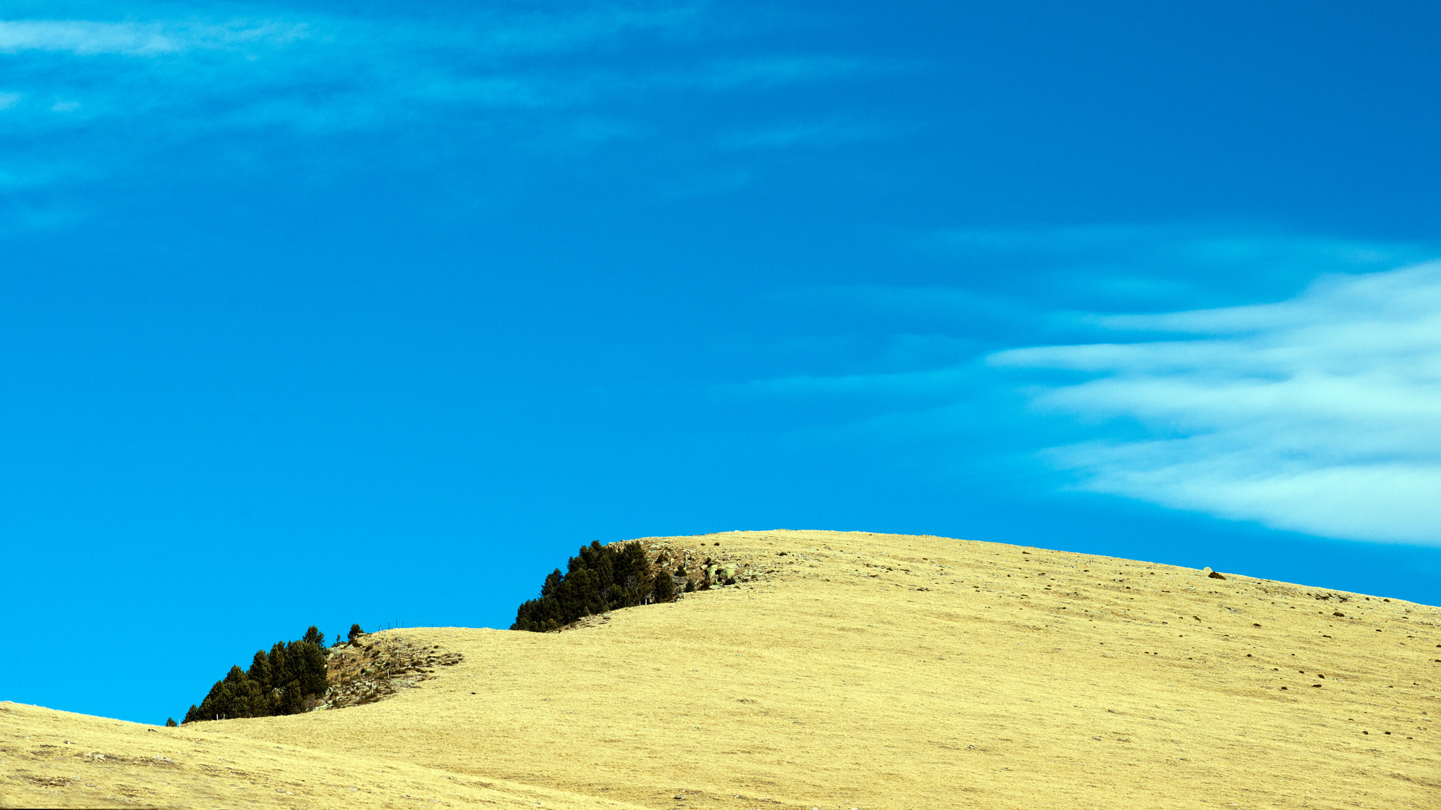 Minolta/Sony AF 70-200mm F2.8 G sample photo. Semi abstract photography