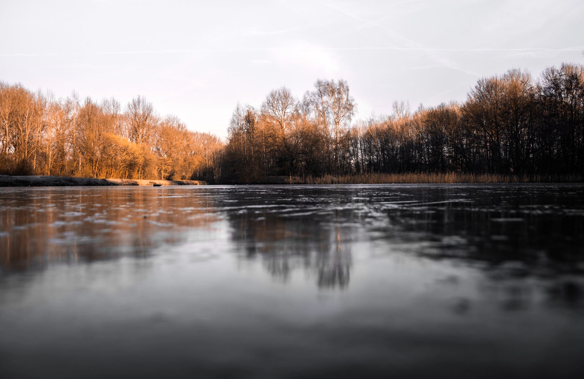 Canon EOS 750D (EOS Rebel T6i / EOS Kiss X8i) sample photo. Cold morning sunrise photography