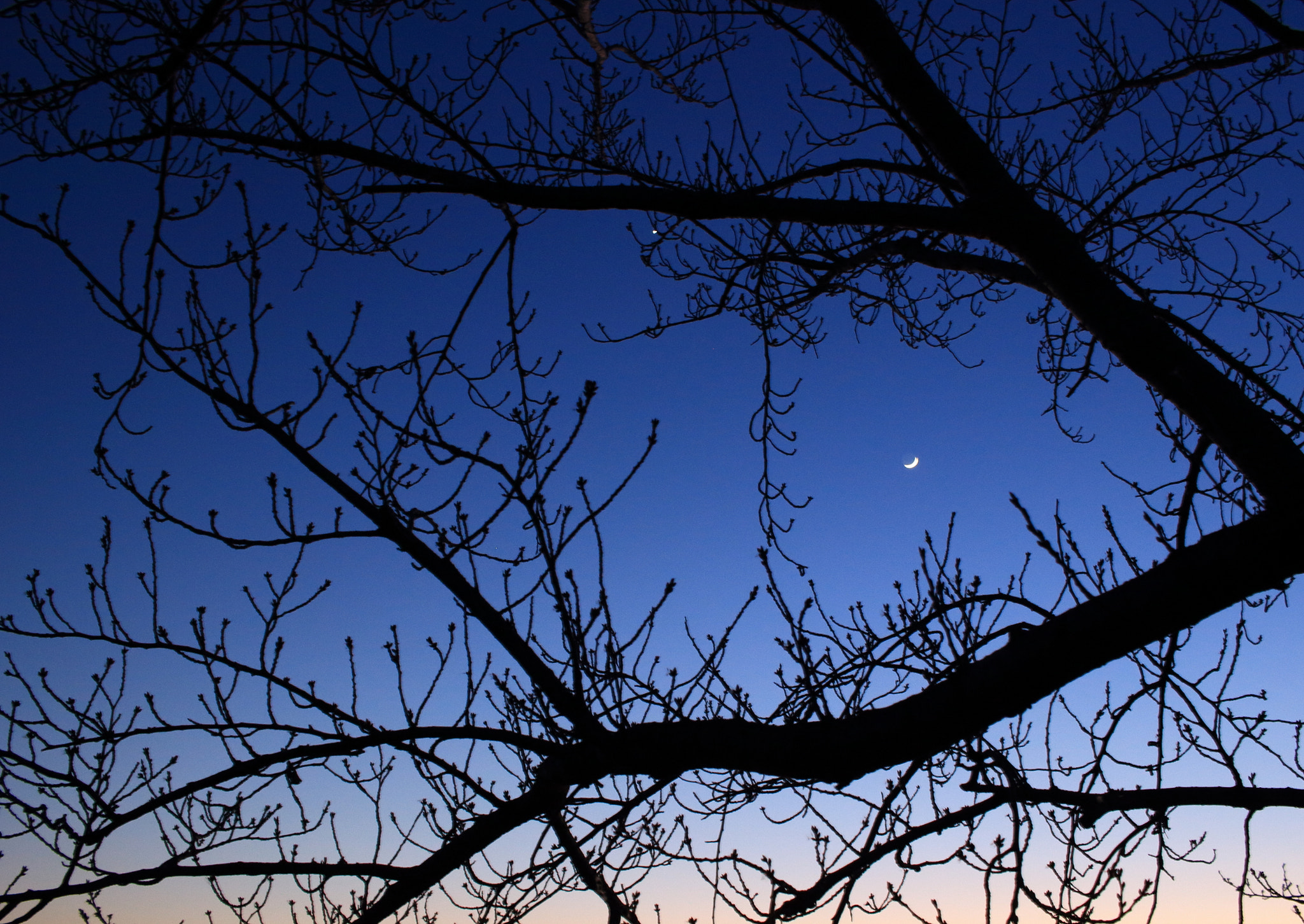Canon EOS 100D (EOS Rebel SL1 / EOS Kiss X7) sample photo. The captured month photography