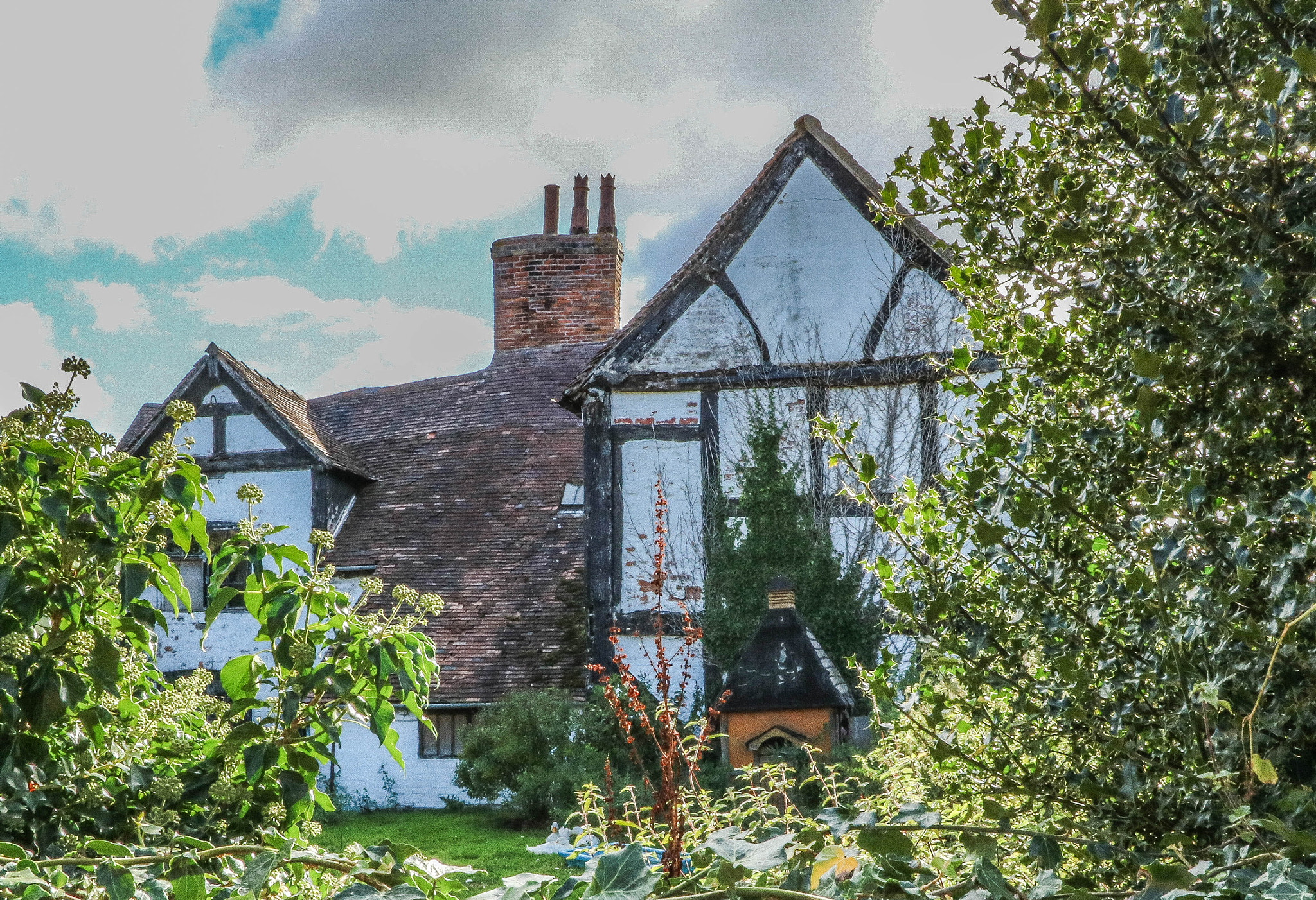 Canon EOS 760D (EOS Rebel T6s / EOS 8000D) sample photo. Outside looking in photography