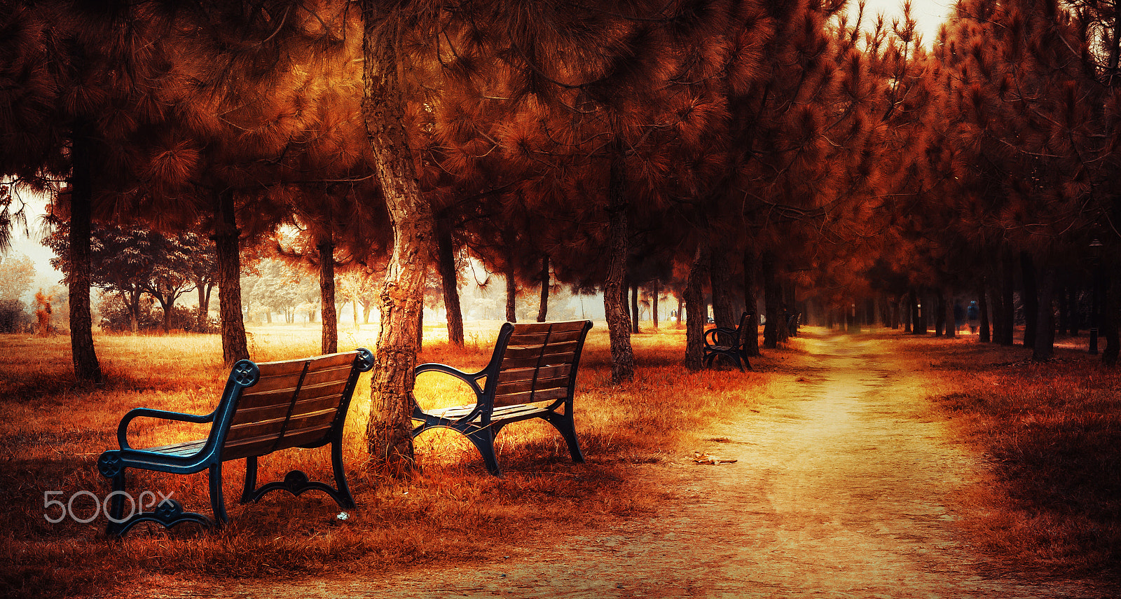 Canon EF-S 18-55mm F3.5-5.6 II sample photo. Bright solitude photography