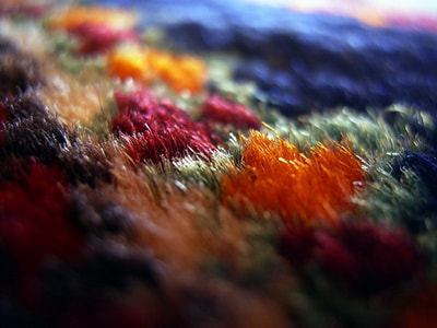 Ricoh Caplio RR30 sample photo. Colours of happiness. carpet photography