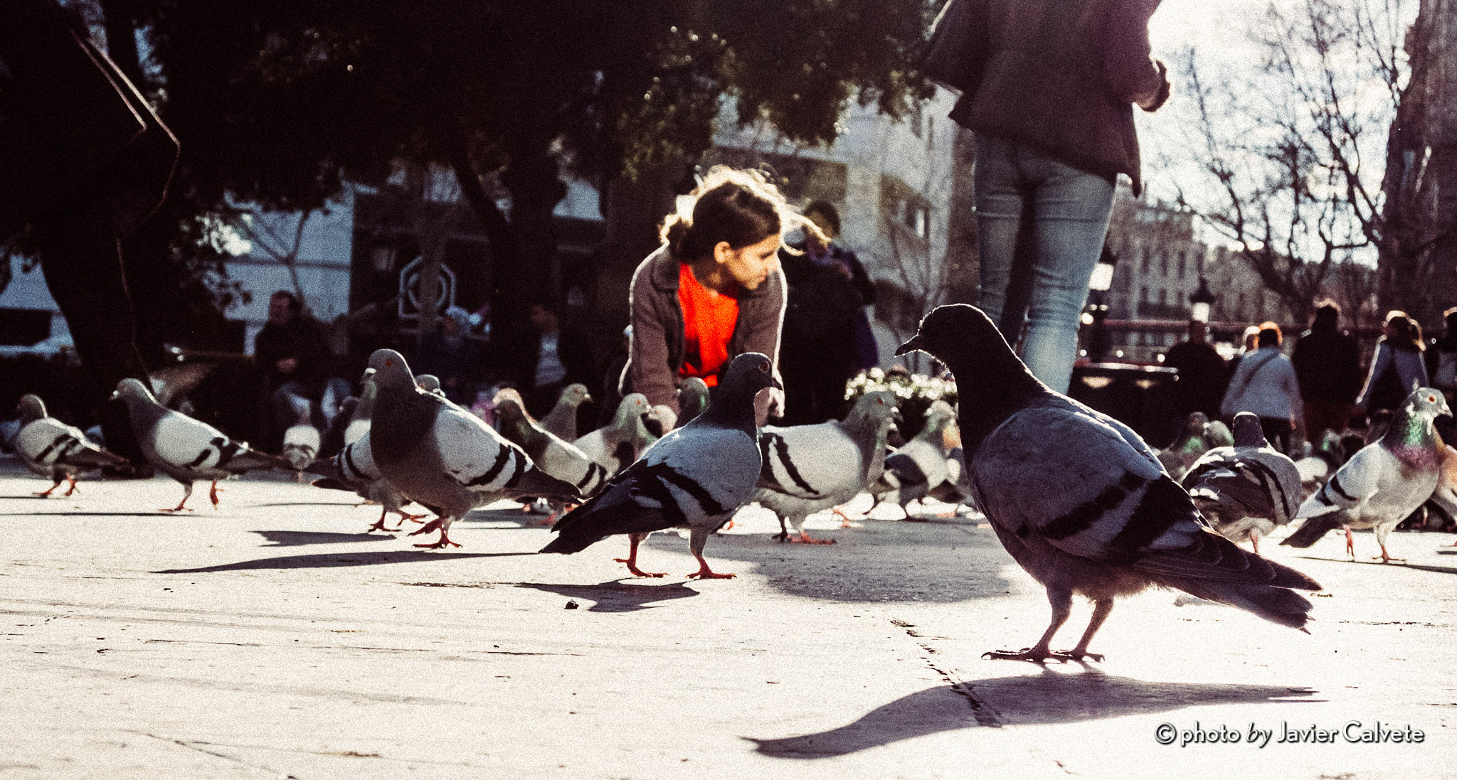 Nikon 1 J2 sample photo. Plaça catalunya  photography