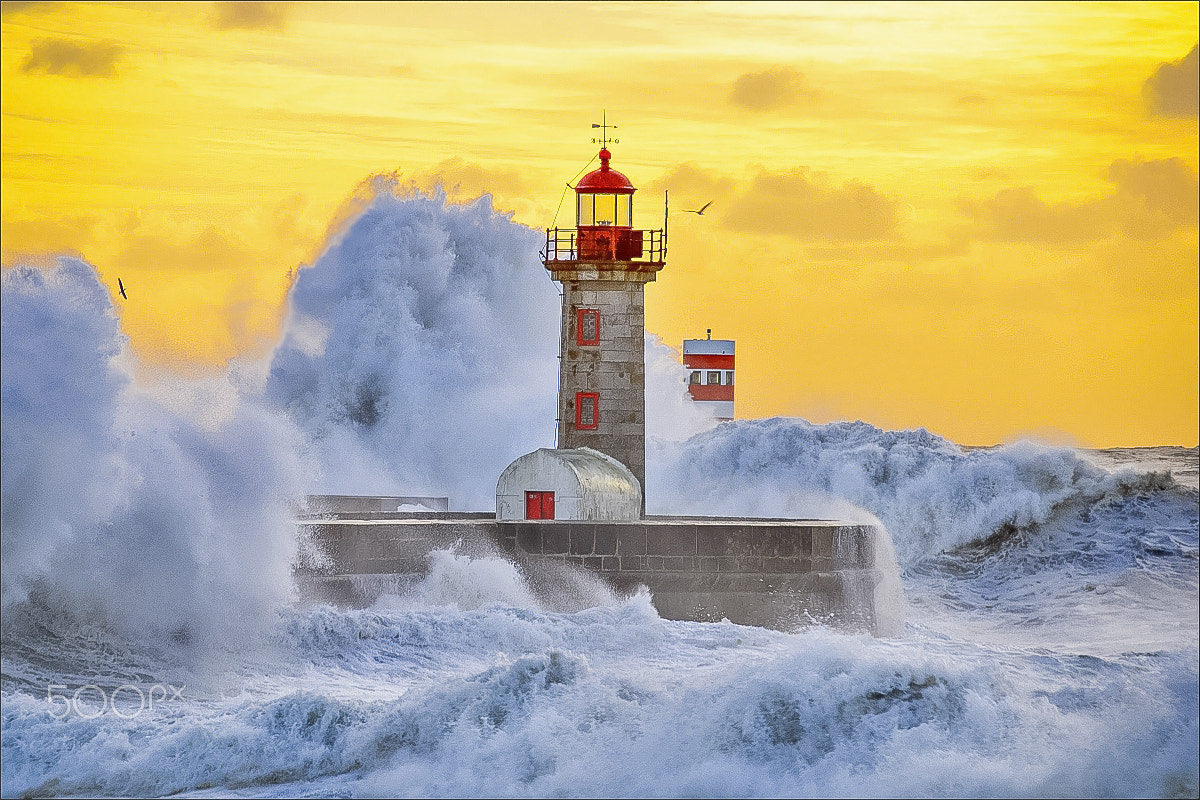 Nikon D7000 + Nikon PC-E Nikkor 24mm F3.5D ED Tilt-Shift sample photo. Sea storm photography