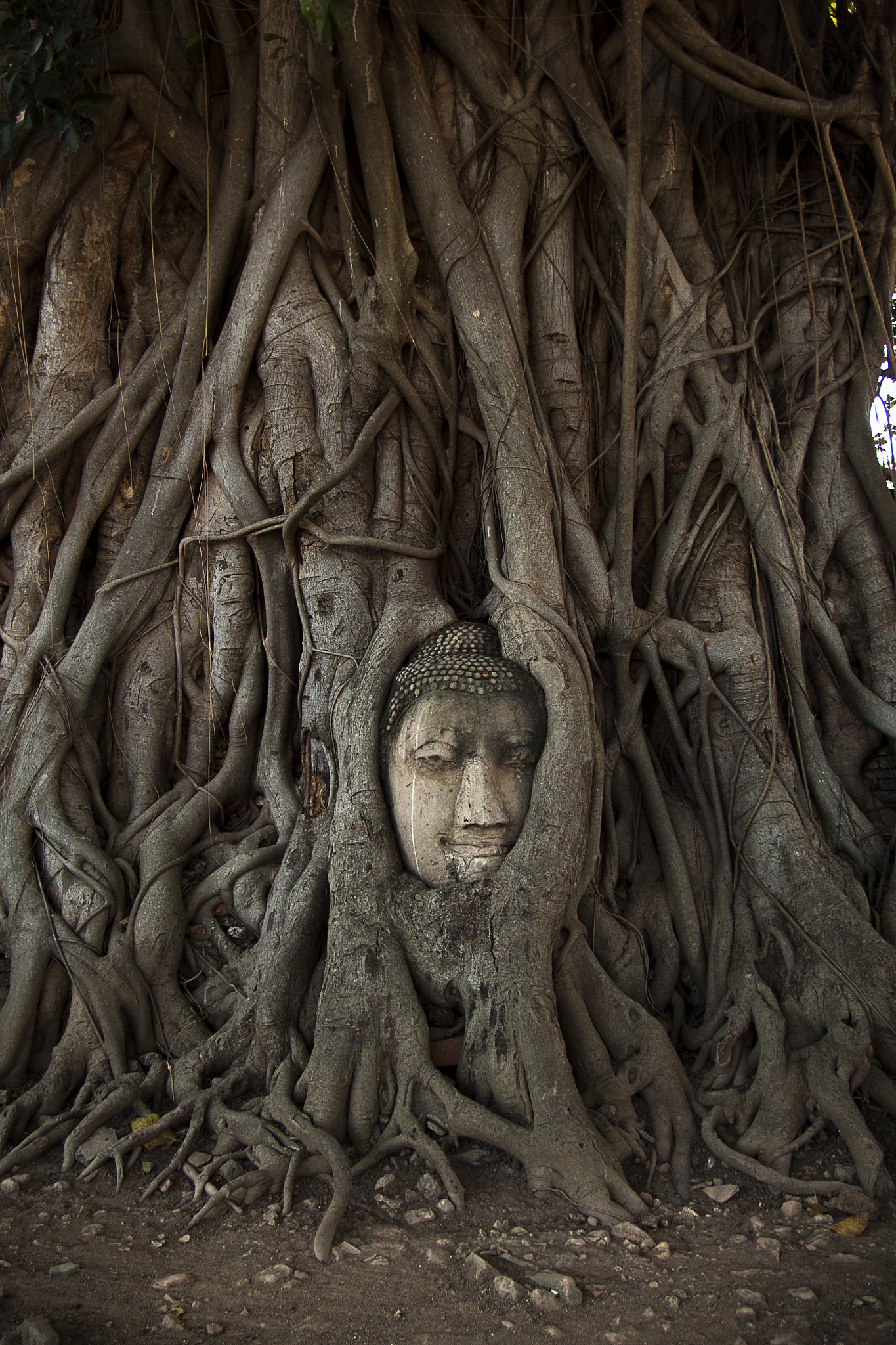 Canon EF-S 17-55mm F2.8 IS USM sample photo. Buddha photography
