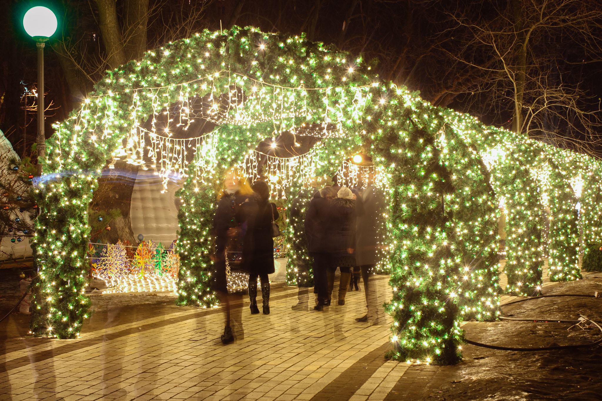 Canon EF-S 18-55mm F3.5-5.6 IS sample photo. Green christmas fairytale photography