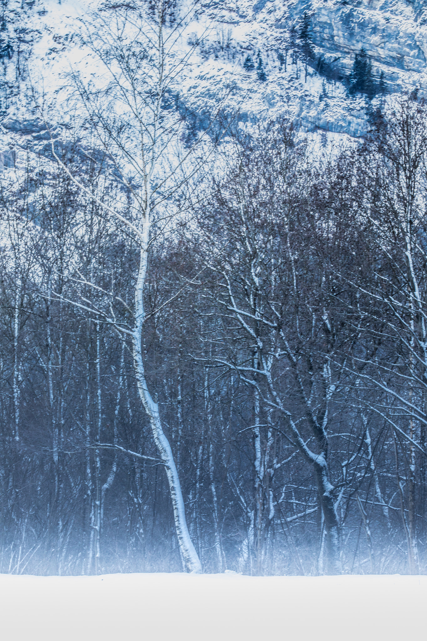Canon EF 70-200mm F2.8L IS II USM sample photo. Cold morning ix photography
