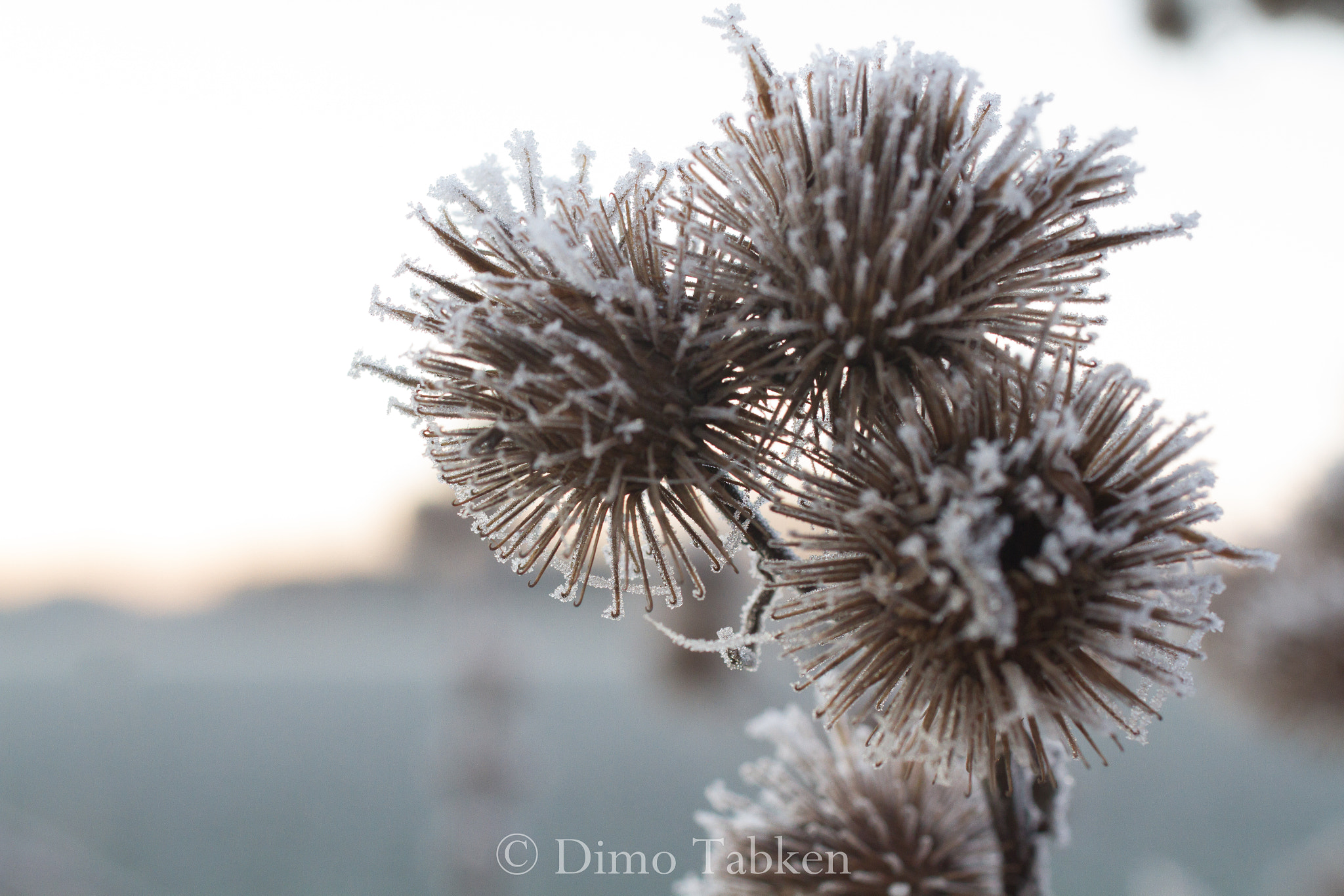 Canon EOS 7D sample photo. Winterimpressionen 3 photography