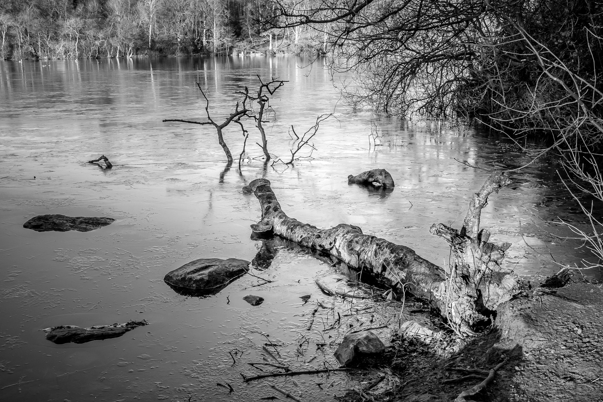 Sigma 18-250mm F3.5-6.3 DC OS HSM sample photo. Frozen photography