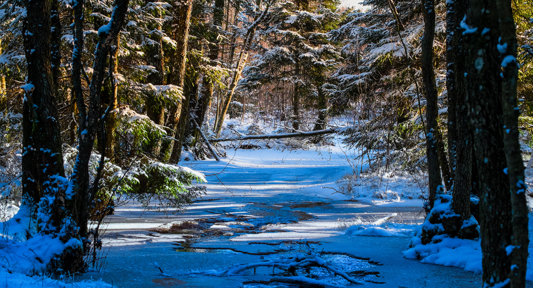 Fujifilm X-E1 + Fujifilm XF 55-200mm F3.5-4.8 R LM OIS sample photo. Winter landscape photography