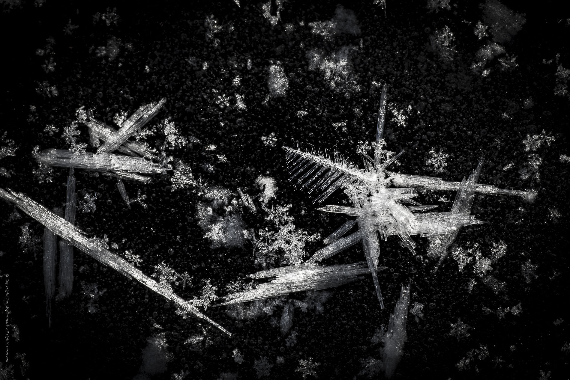 Nikon D800E sample photo. A frozen world ll photography
