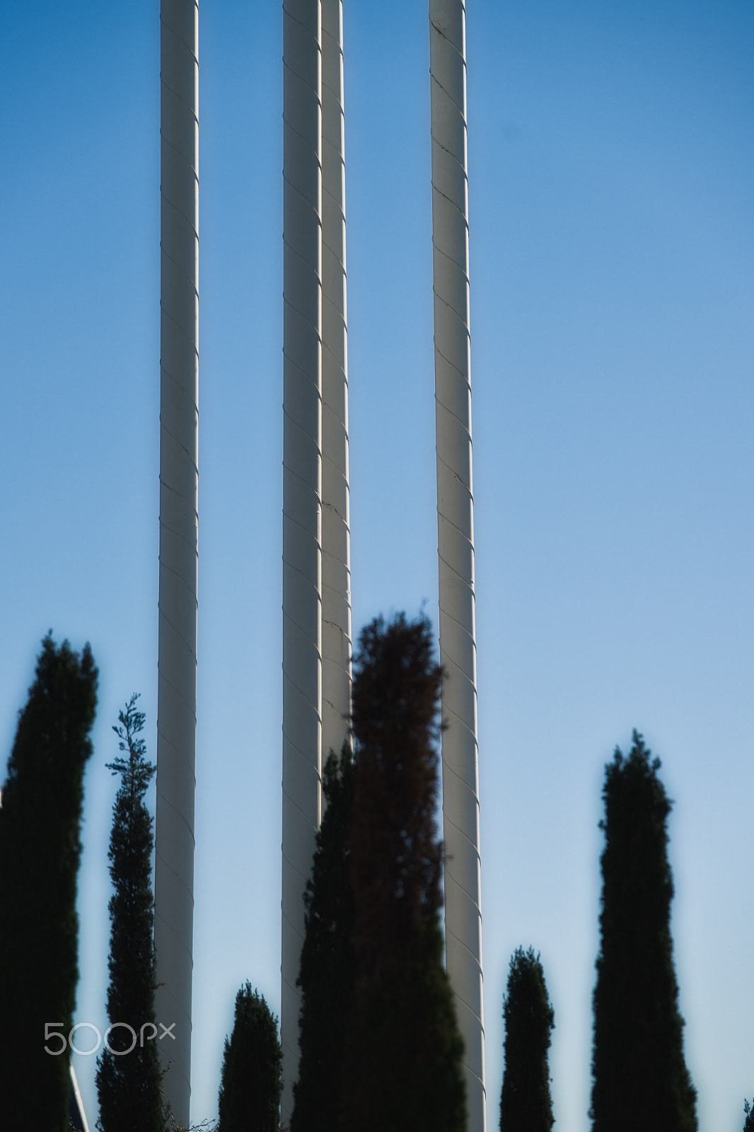 Sony FE 70-200mm F4 G OSS sample photo. Artificial trees photography