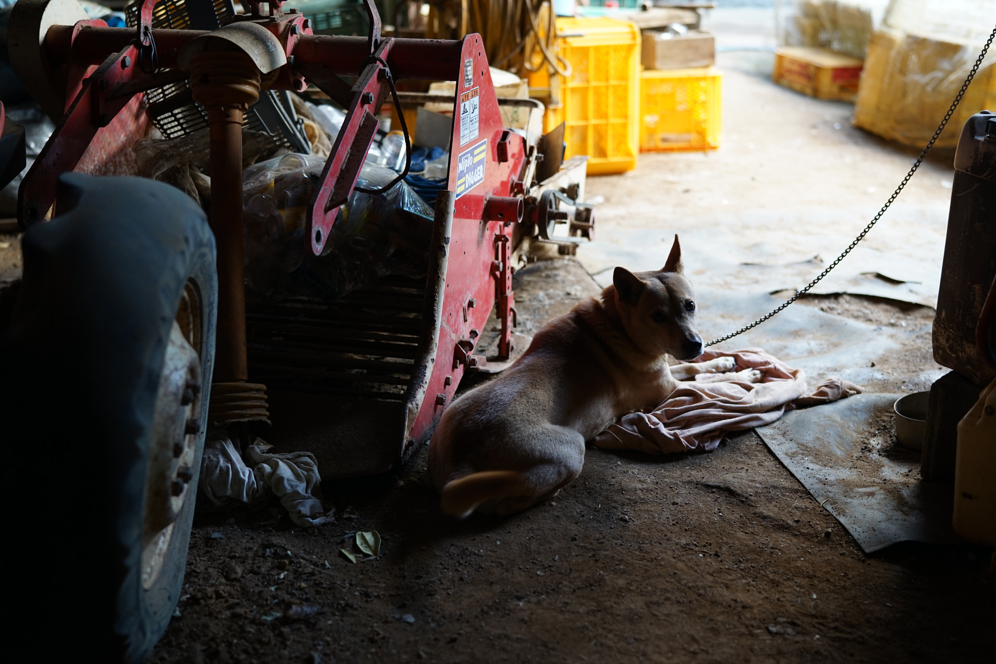 Sony a7 II + Sony Planar T* FE 50mm F1.4 ZA sample photo