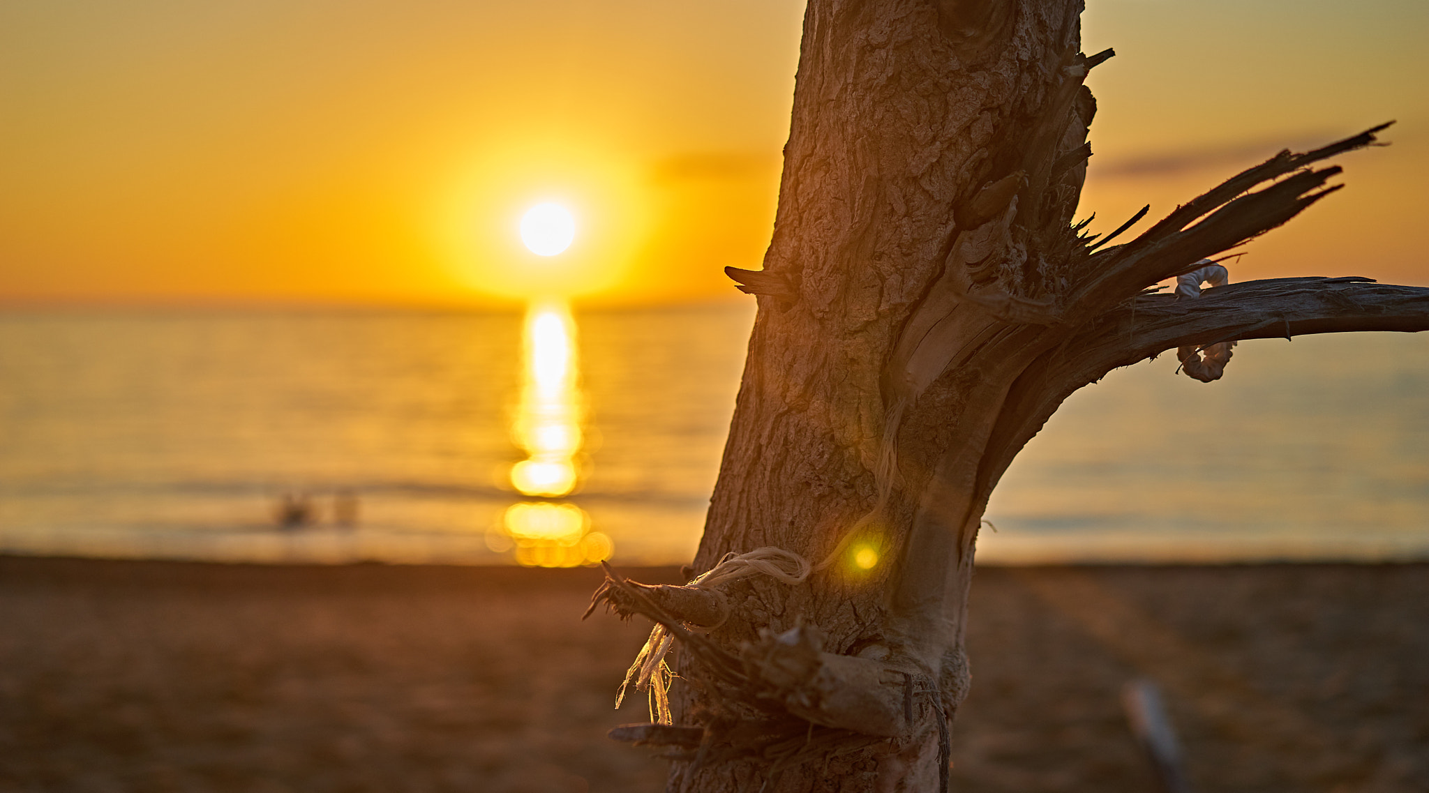 Sony a7 II sample photo. Summer day photography