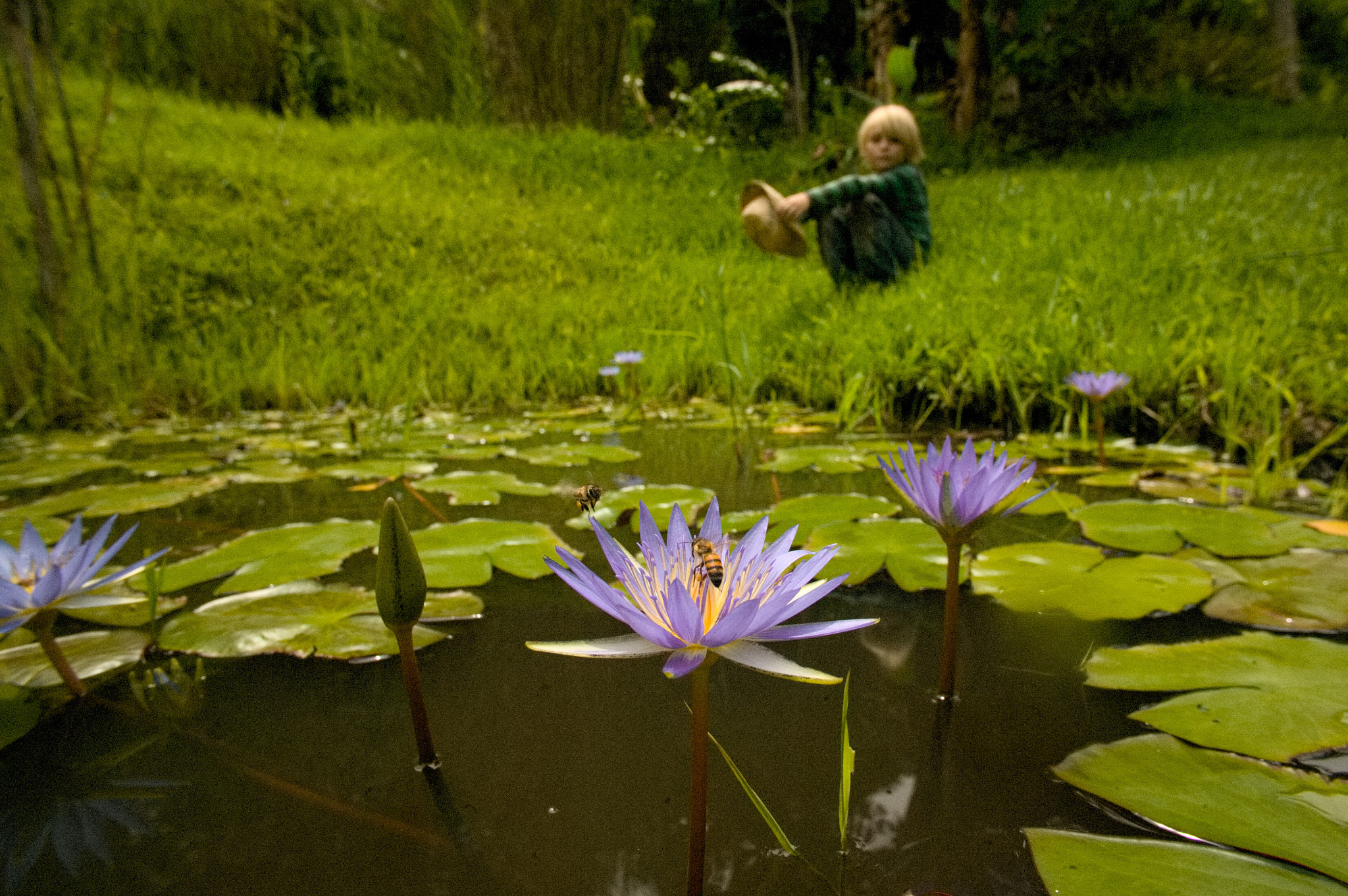 Canon EOS-1Ds sample photo. Permaculture garden photography