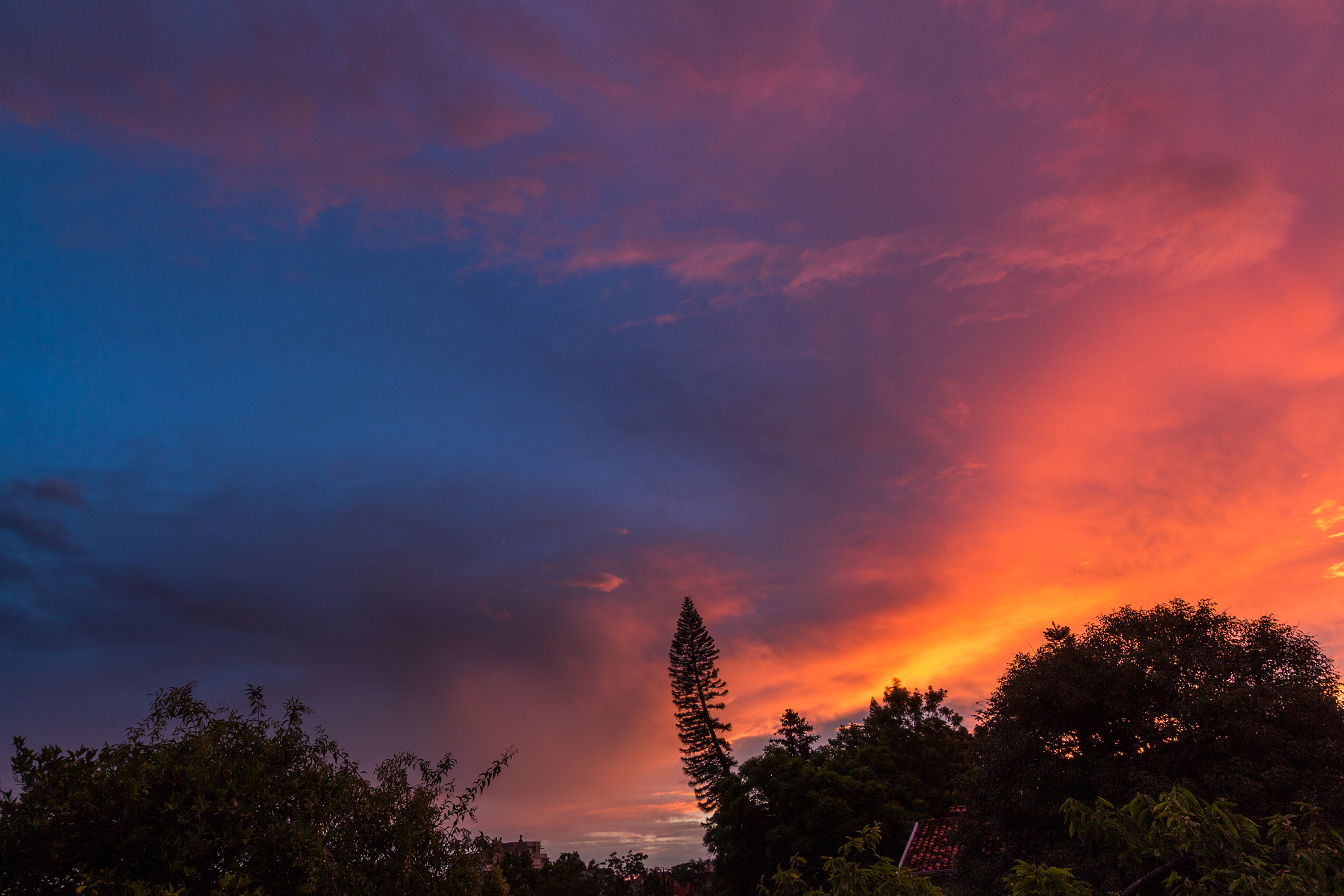 Sigma 10-20mm F3.5 EX DC HSM sample photo. Sunset after a rainy day. photography