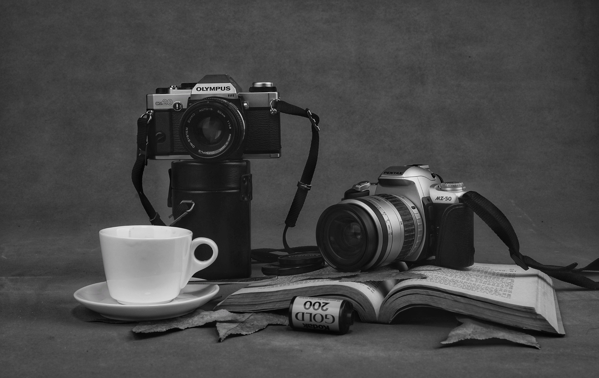 Sony a7 II + Sony Vario Tessar T* FE 24-70mm F4 ZA OSS sample photo. Camera old black and white photography