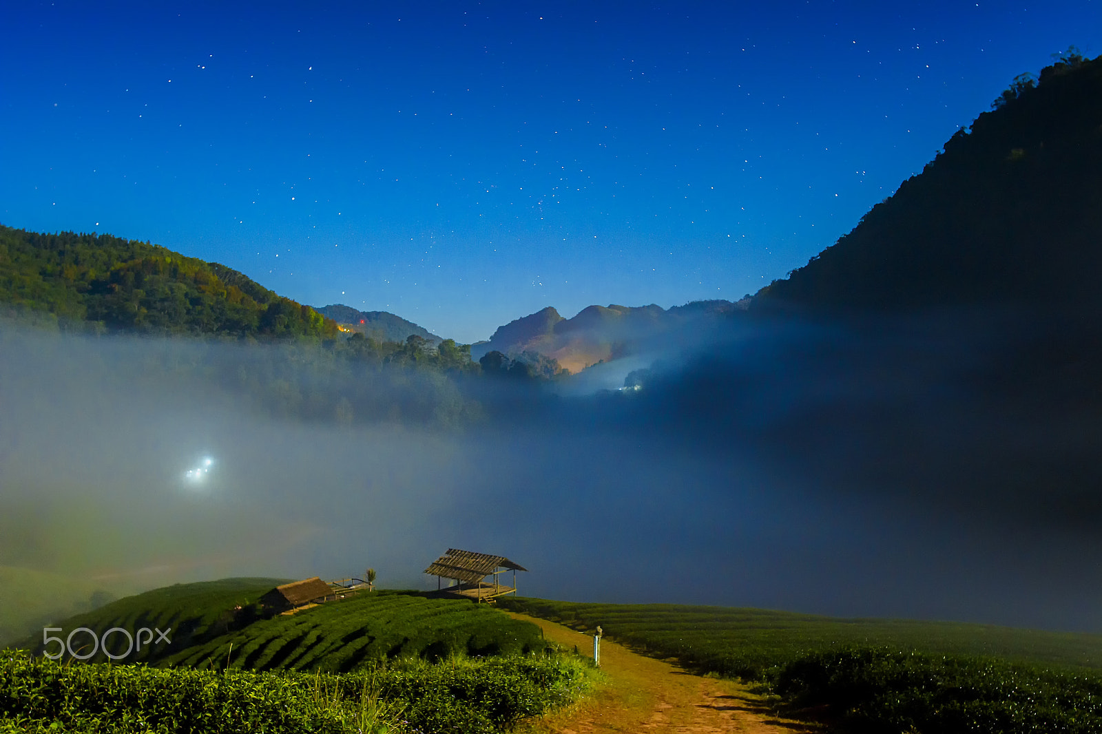 Nikon D7100 + Nikon AF-S Nikkor 20mm F1.8G ED sample photo. Garden in the fog photography