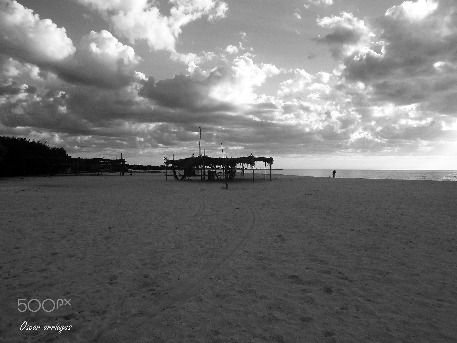 Nikon Coolpix S2900 sample photo. Hombre y su amigo photography