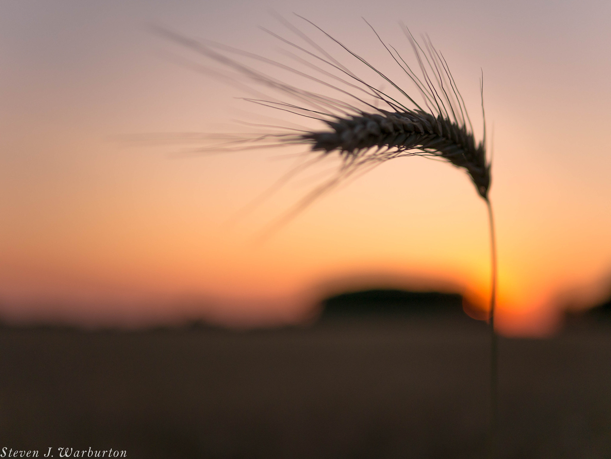 Panasonic Lumix DMC-GF7 + LUMIX G 25/F1.7 sample photo. Field afire photography