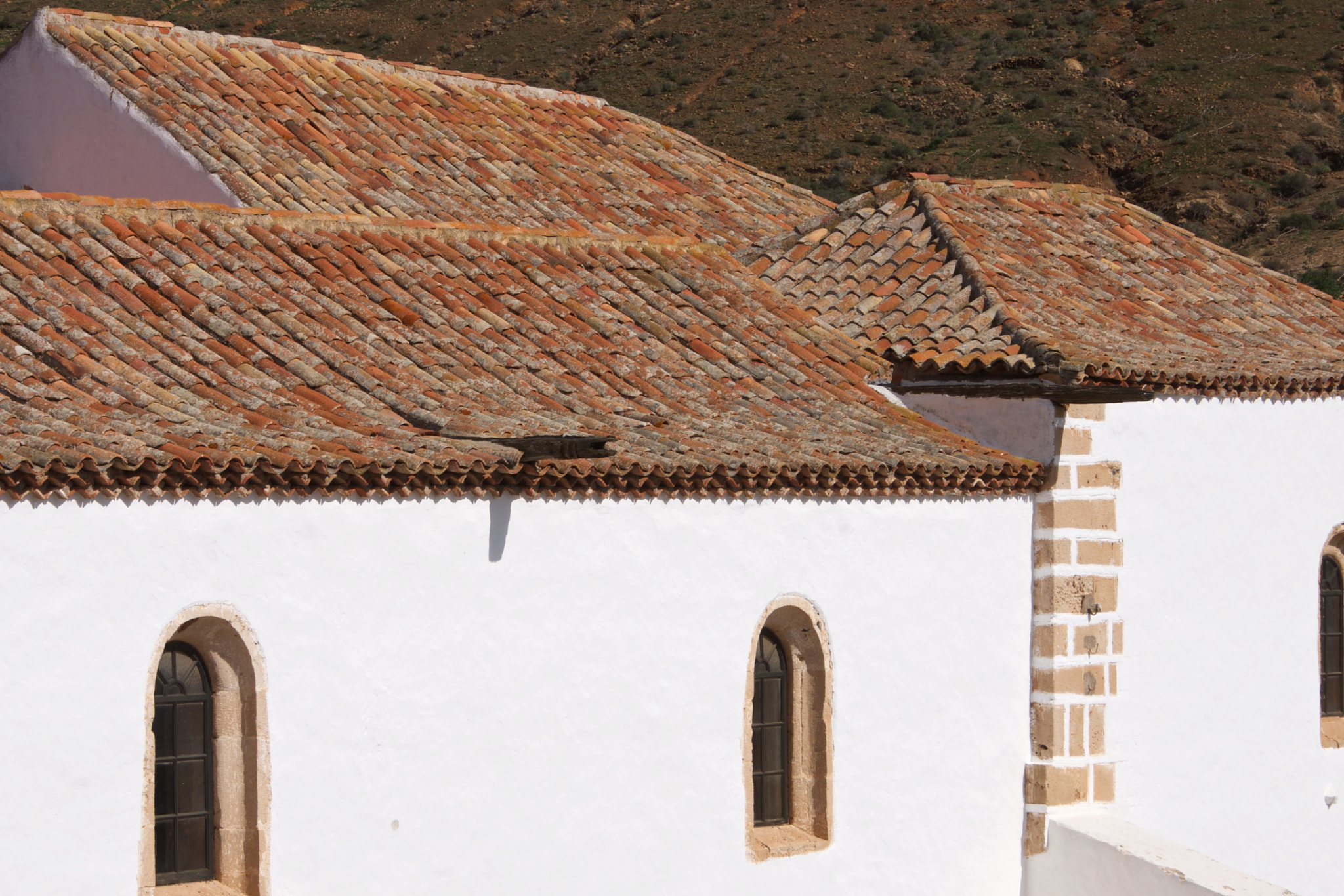 Sony Alpha DSLR-A700 sample photo. Roof tops photography