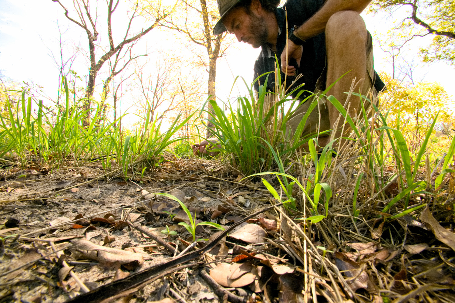 Canon EOS-1Ds sample photo. Monitoring new grass growth photography