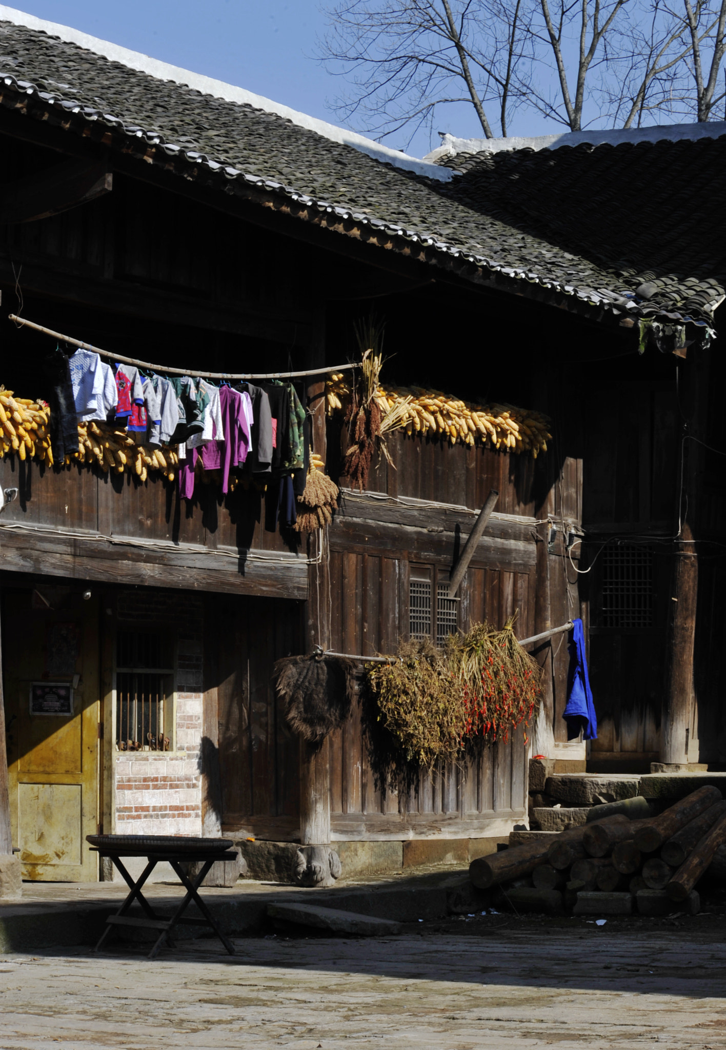 Nikon D3 sample photo. The joy of peasant photography