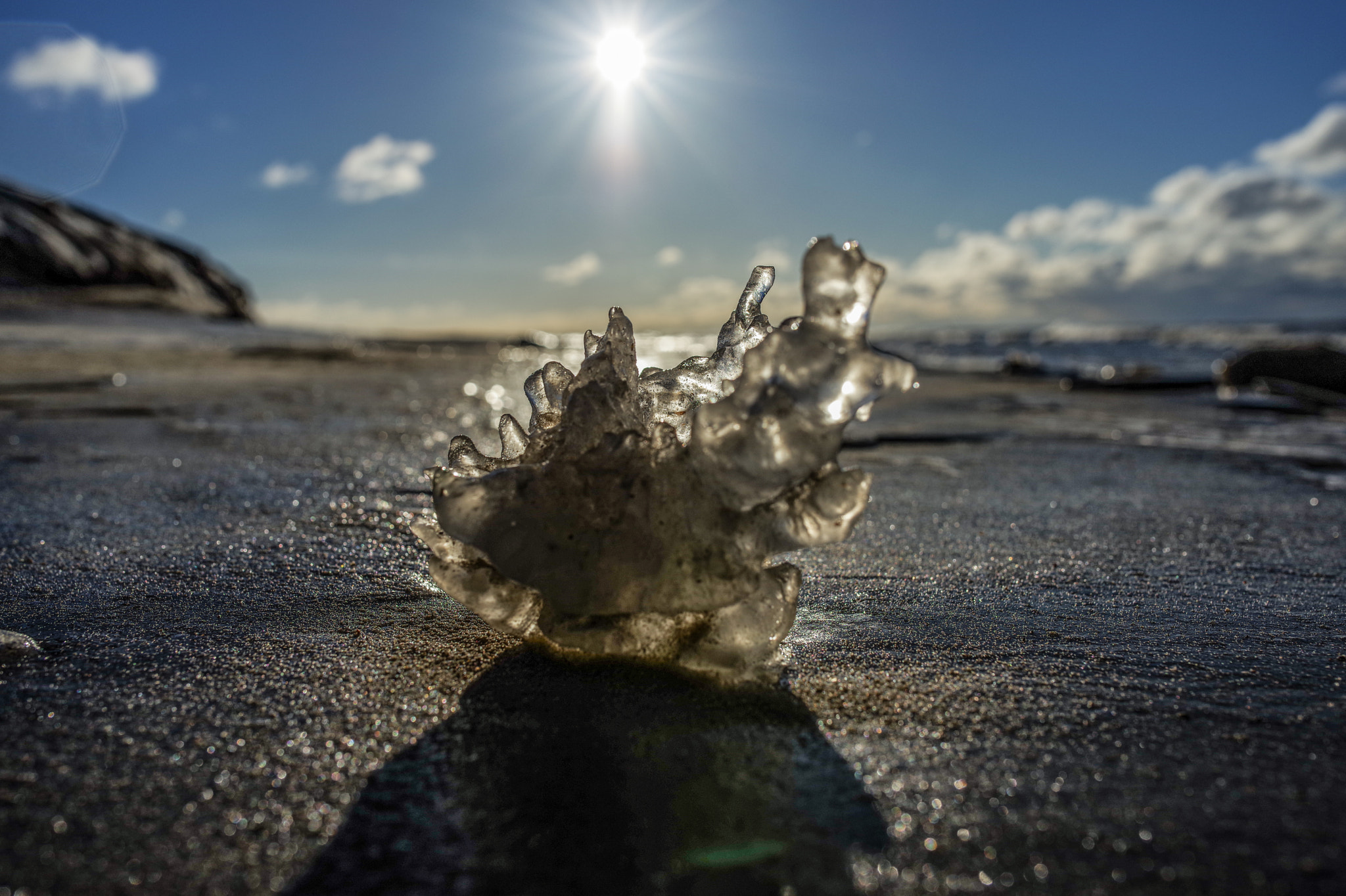 Pentax K-1 sample photo. Freezing lithuania photography