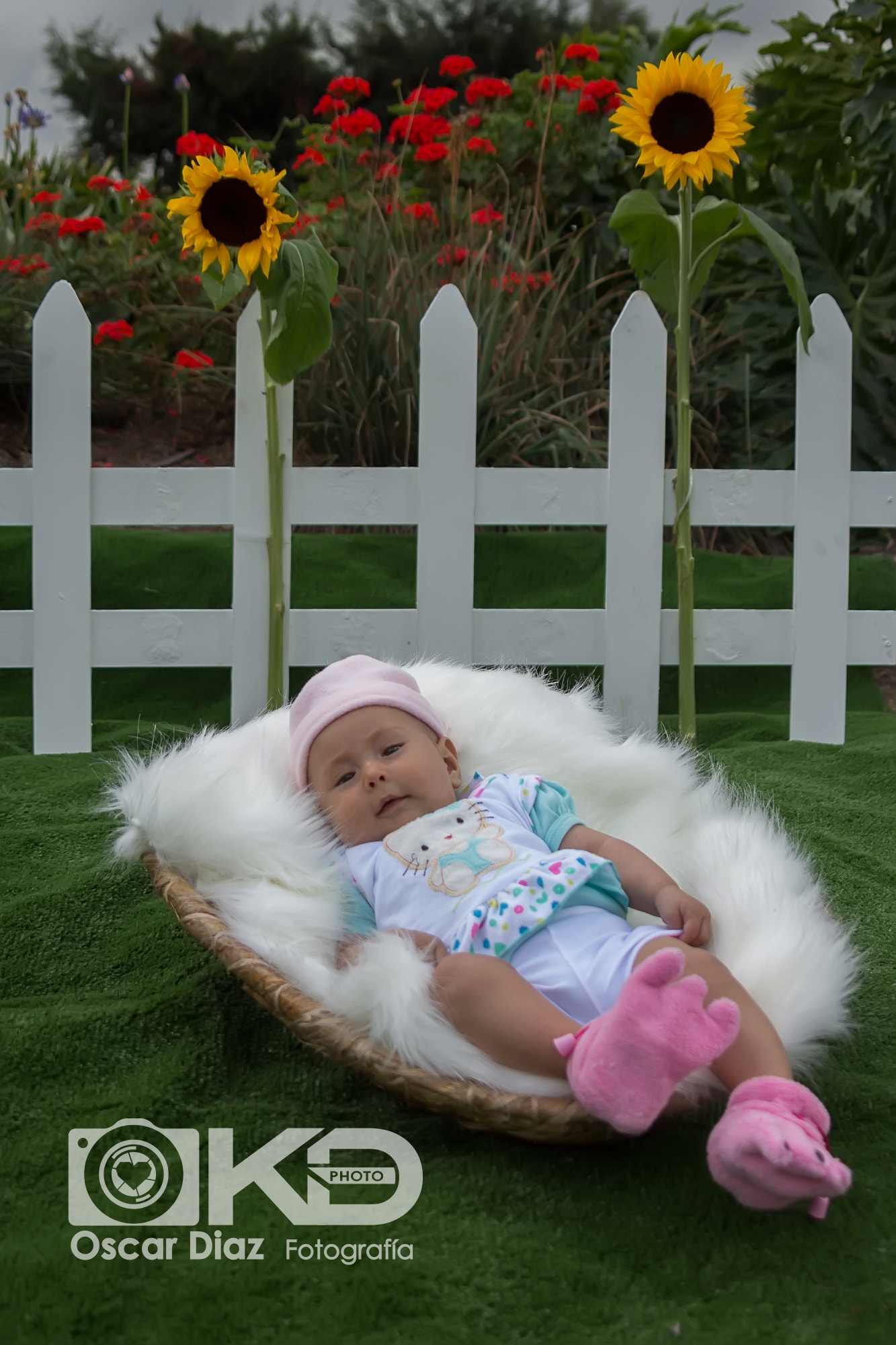 Canon EOS 60D sample photo. Img photography
