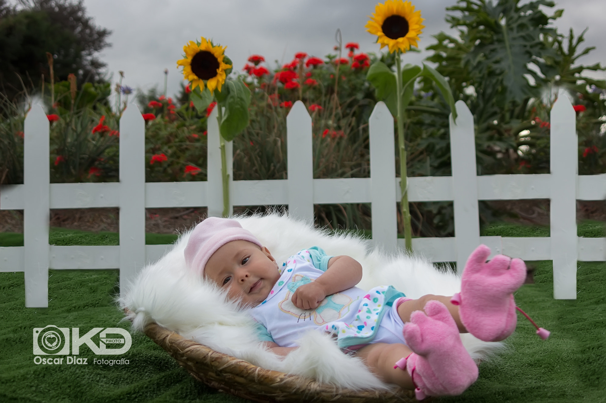 Canon EOS 60D sample photo. Img photography