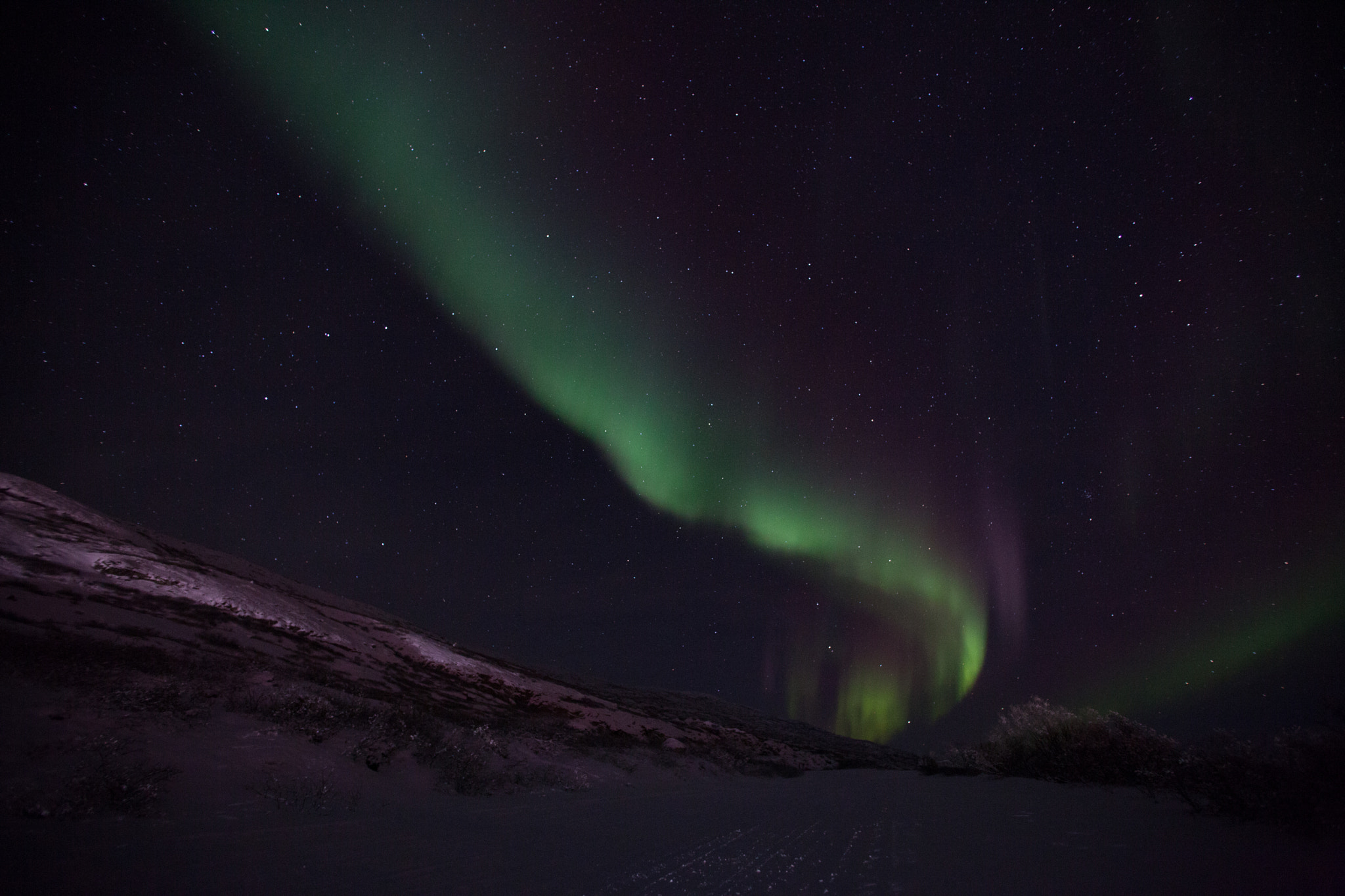 Canon EOS 5D Mark II sample photo. The northern lights of greenland photography