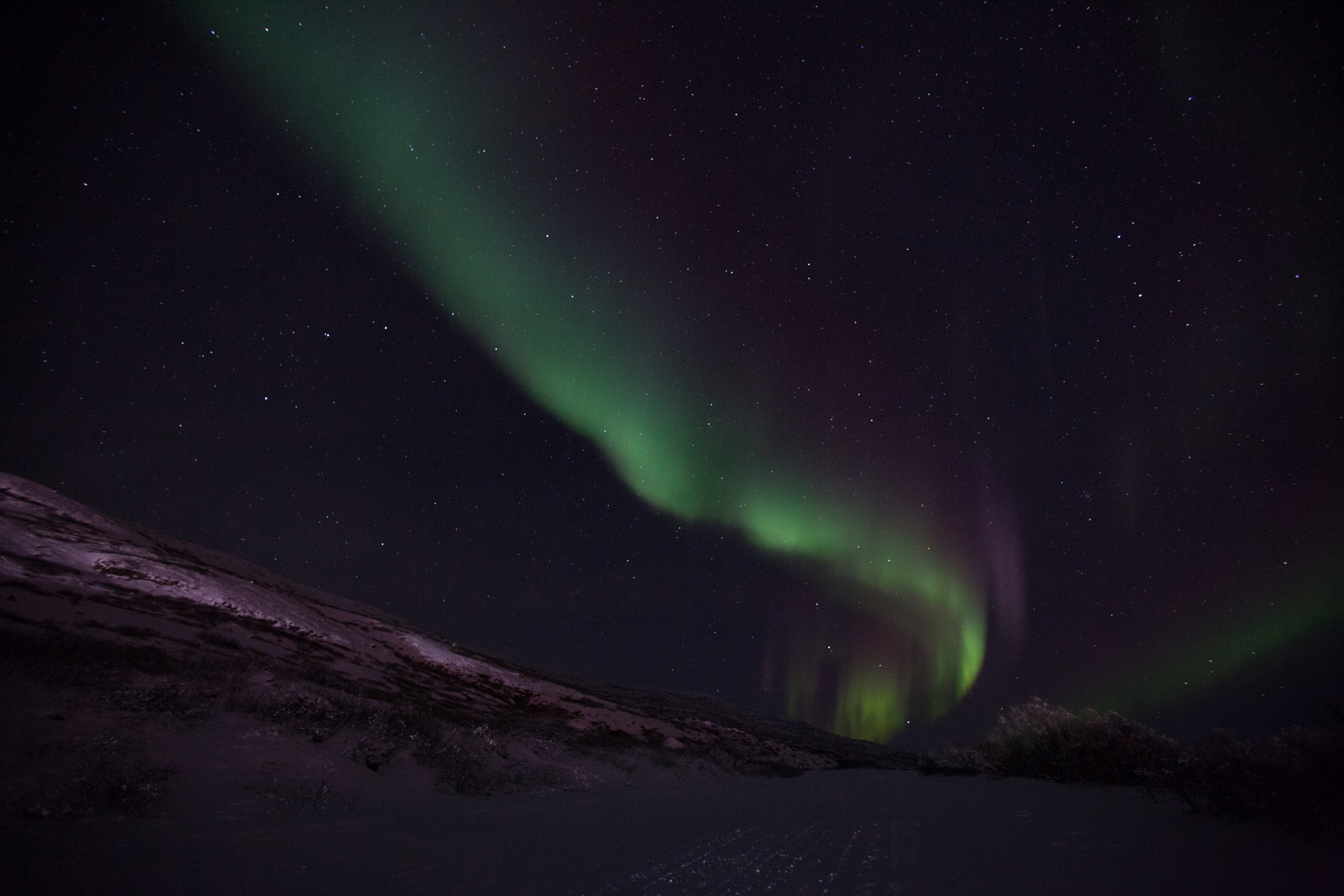 Canon EF 17-35mm f/2.8L sample photo. The northern lights of greenland photography