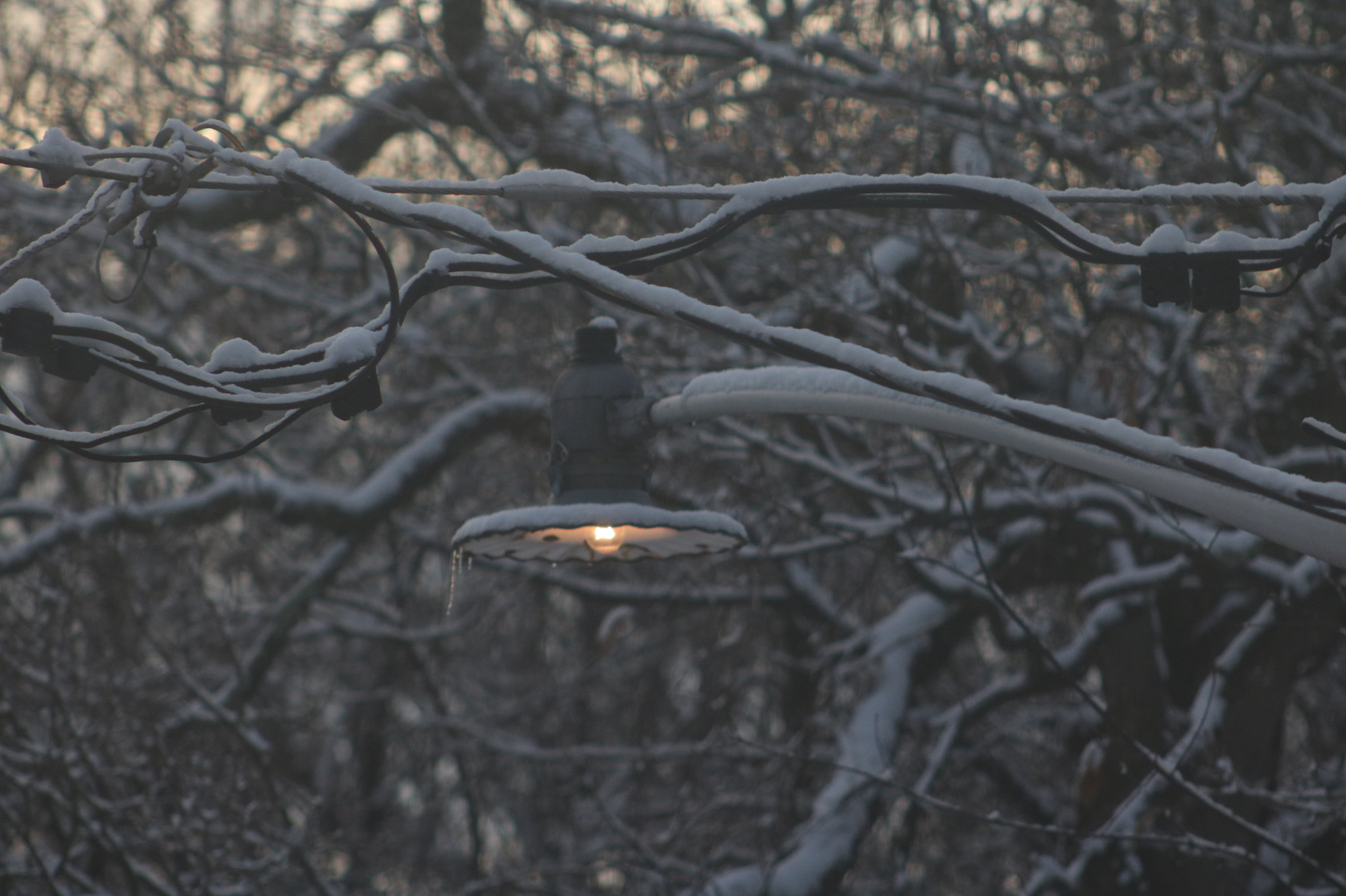 Canon EOS 750D (EOS Rebel T6i / EOS Kiss X8i) + Canon EF 75-300mm f/4-5.6 USM sample photo. Morning snow photography