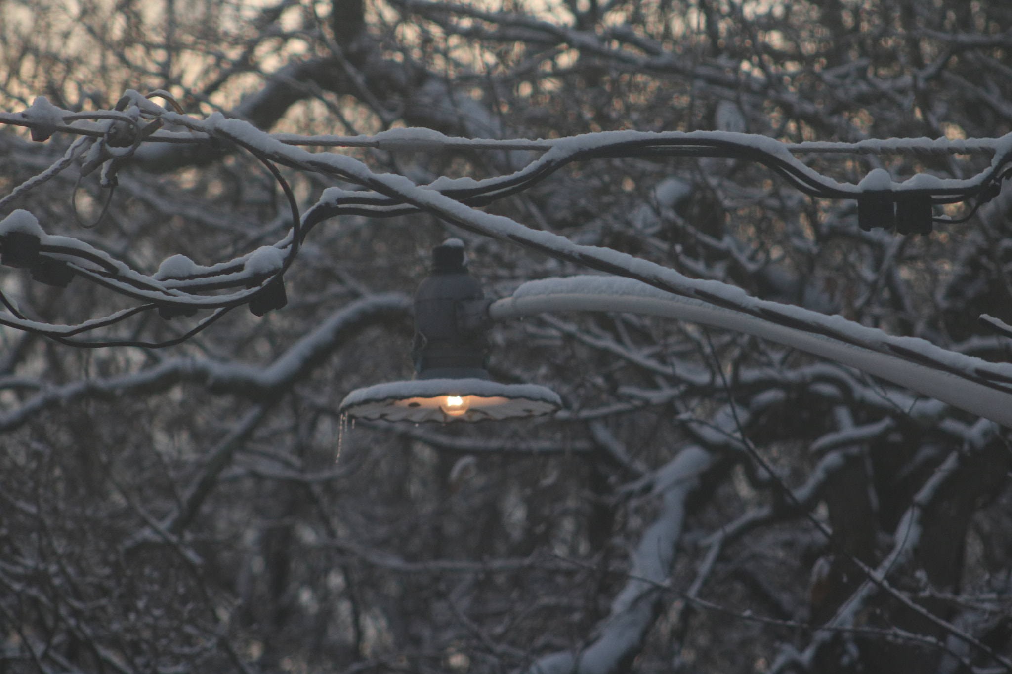 Canon EF 75-300mm f/4-5.6 USM sample photo. Morning snow photography