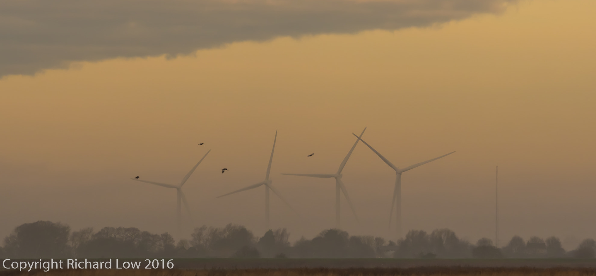 Olympus OM-D E-M10 + Olympus M.Zuiko Digital ED 40-150mm F2.8 Pro sample photo. Out of the mist photography