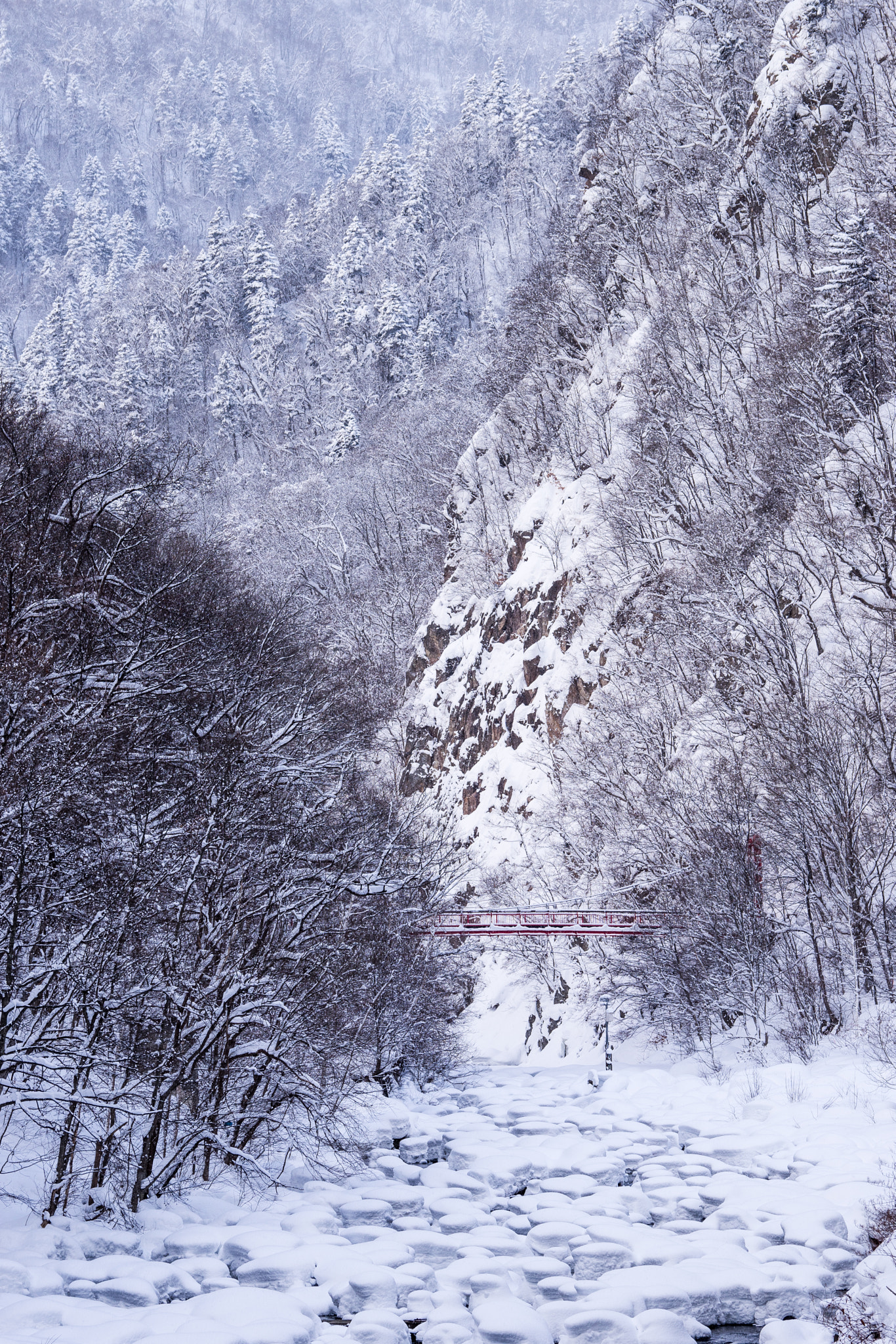 Sony 70-300mm F4.5-5.6 G SSM sample photo. Snowy valley photography
