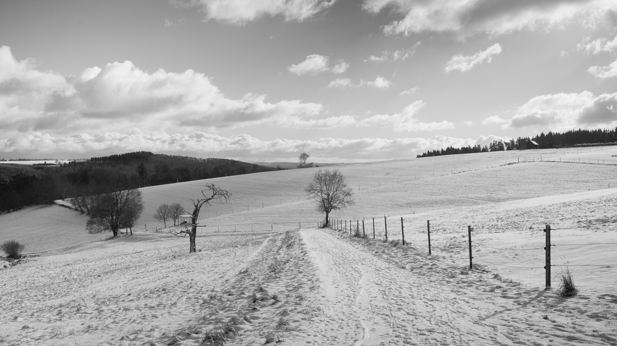 Leica M (Typ 262) sample photo. January photography