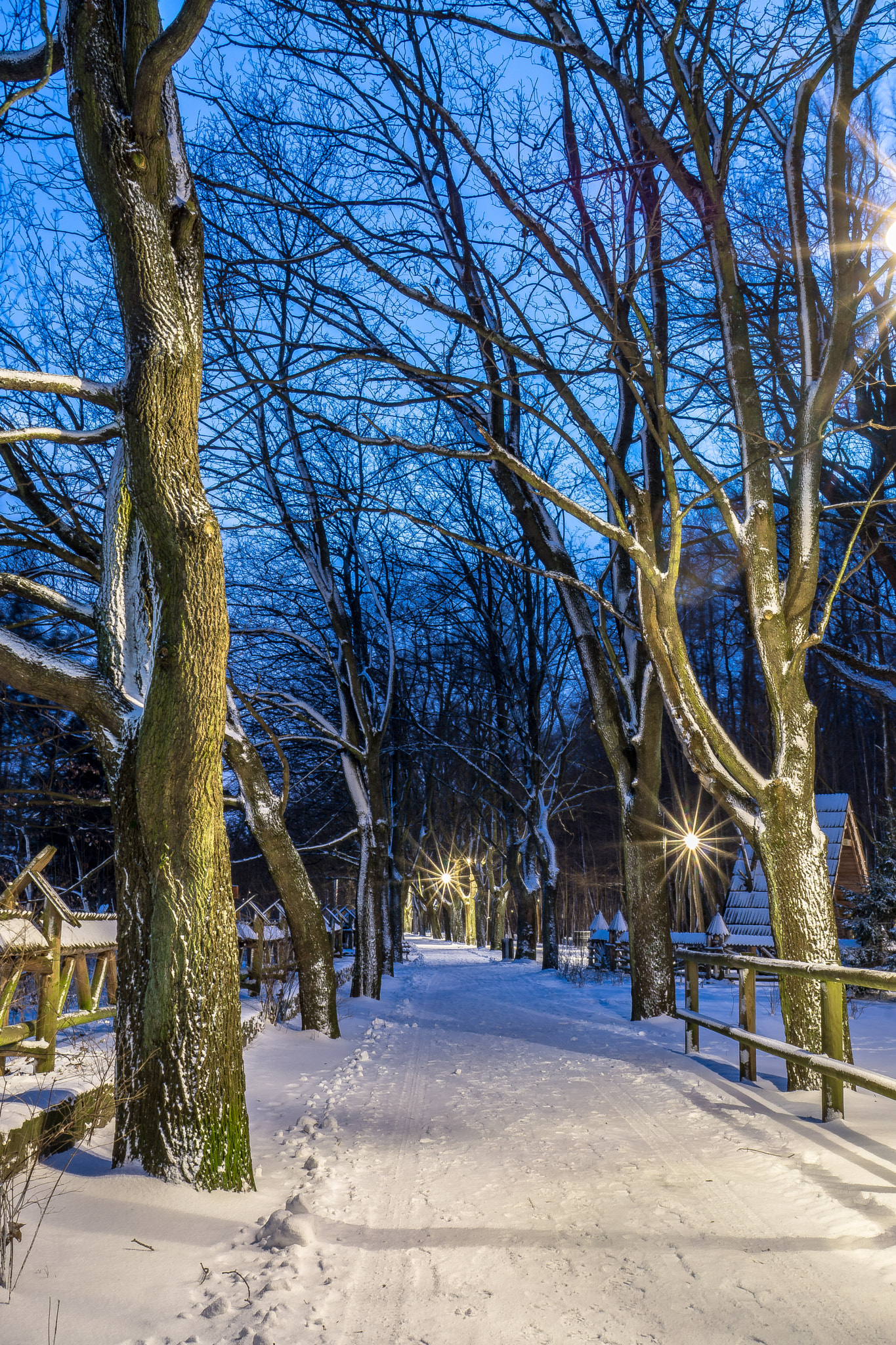 Sony Sonnar T* E 24mm F1.8 ZA sample photo. Winter photography
