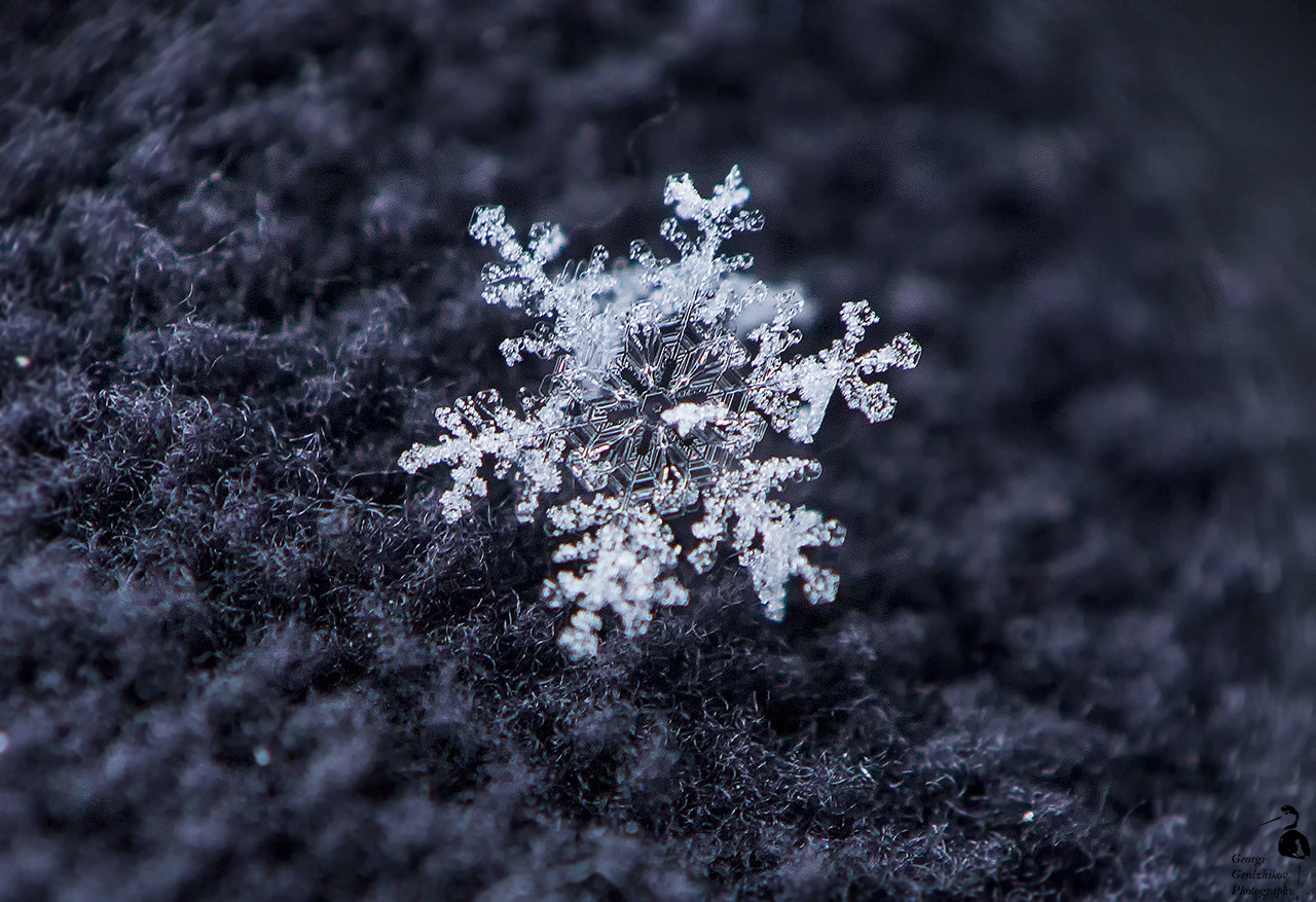 Canon EOS 70D + Canon EF 28-105mm f/3.5-4.5 USM sample photo. Snowflake photography