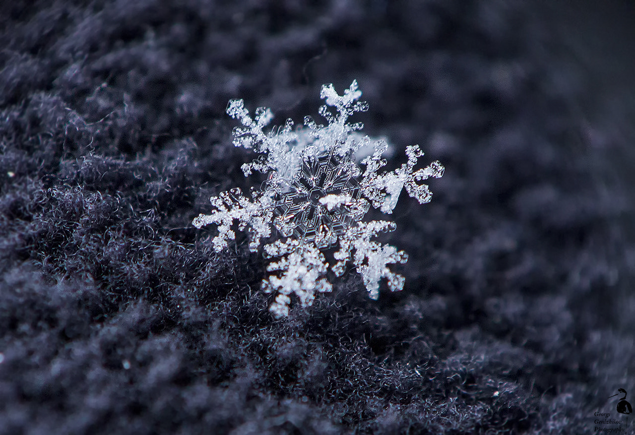 Canon EF 28-105mm f/3.5-4.5 USM sample photo. Snowflake photography