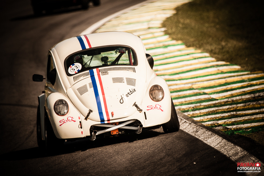 Canon EF 100-400mm F4.5-5.6L IS USM sample photo. Herbie beetle | classic cup photography