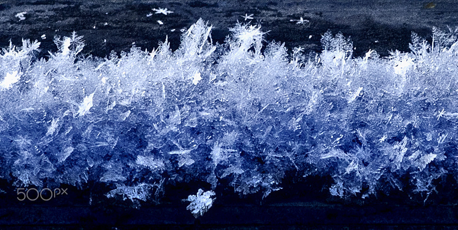 Pentax K-5 sample photo. Frozen flakes photography