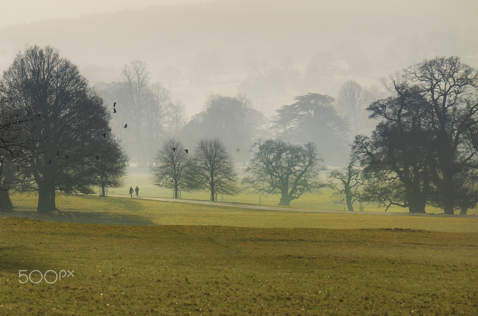 Panasonic Lumix DMC-GX85 (Lumix DMC-GX80 / Lumix DMC-GX7 Mark II) sample photo. Winters day walk @ chatsworth photography