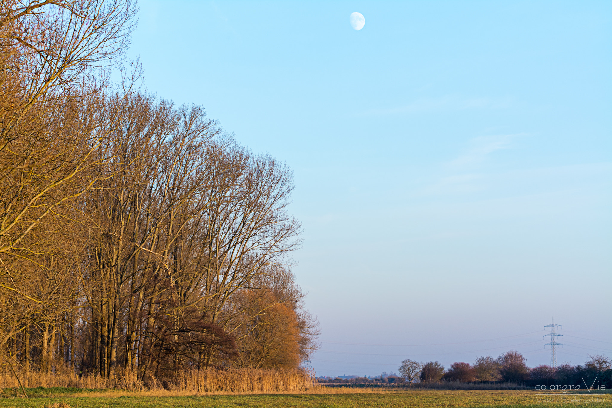 Nikon D5200 sample photo. Moon over the meadows photography
