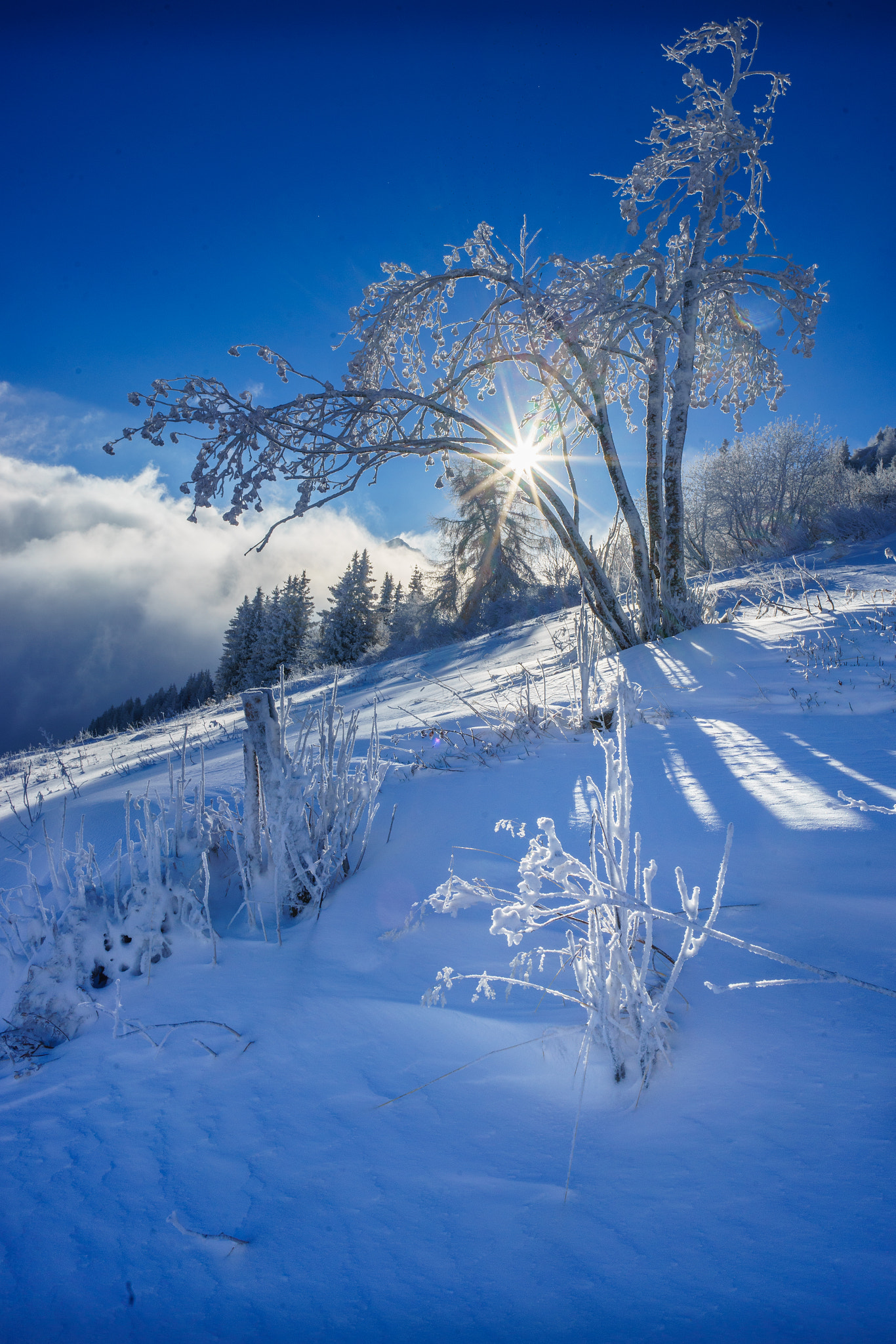 Sony a7 II + E 21mm F2.8 sample photo. Finally snow... photography